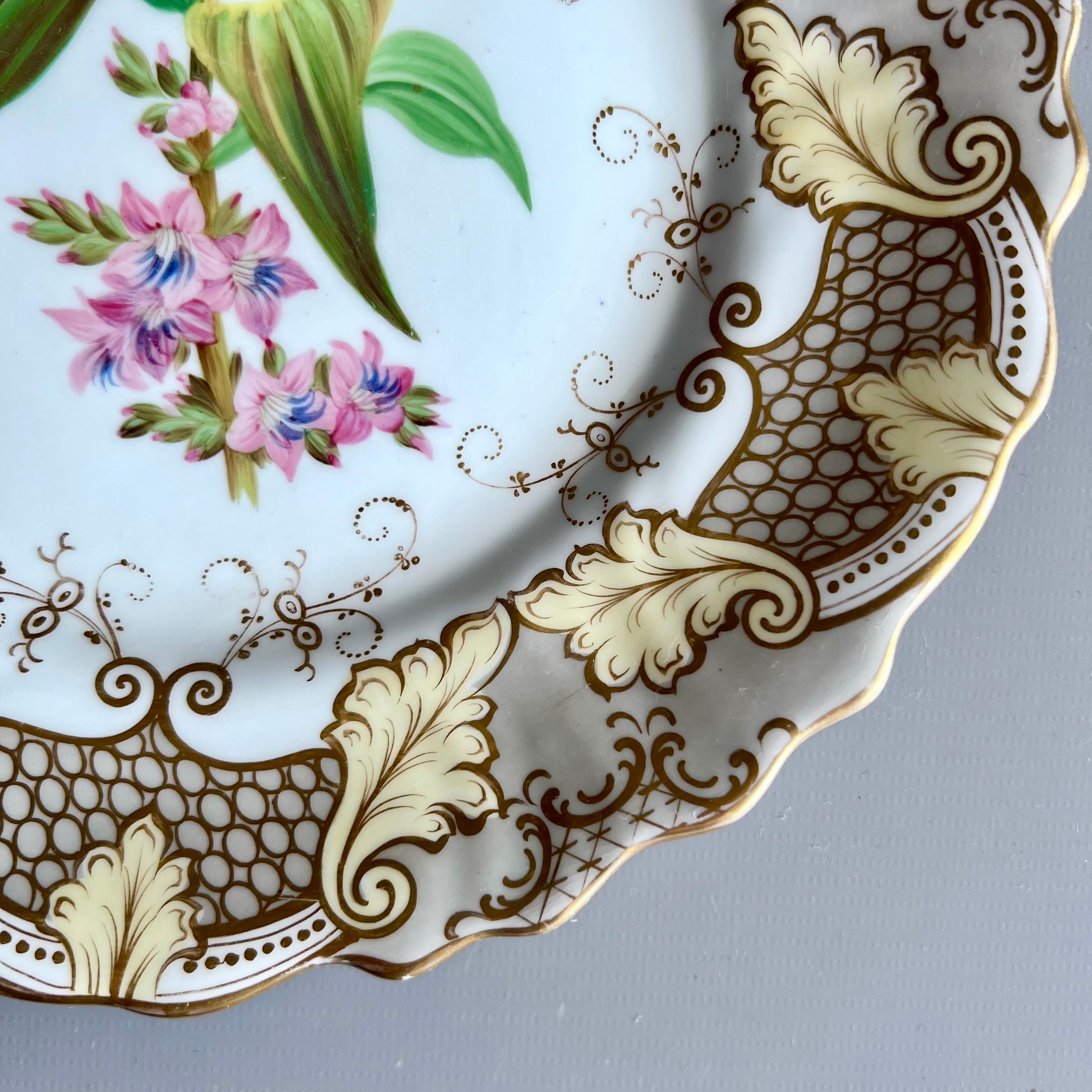 Plato Samuel Alcock, borde de acanto gris y beige, flor rosa, ca 1835 Mediados del siglo XIX en venta