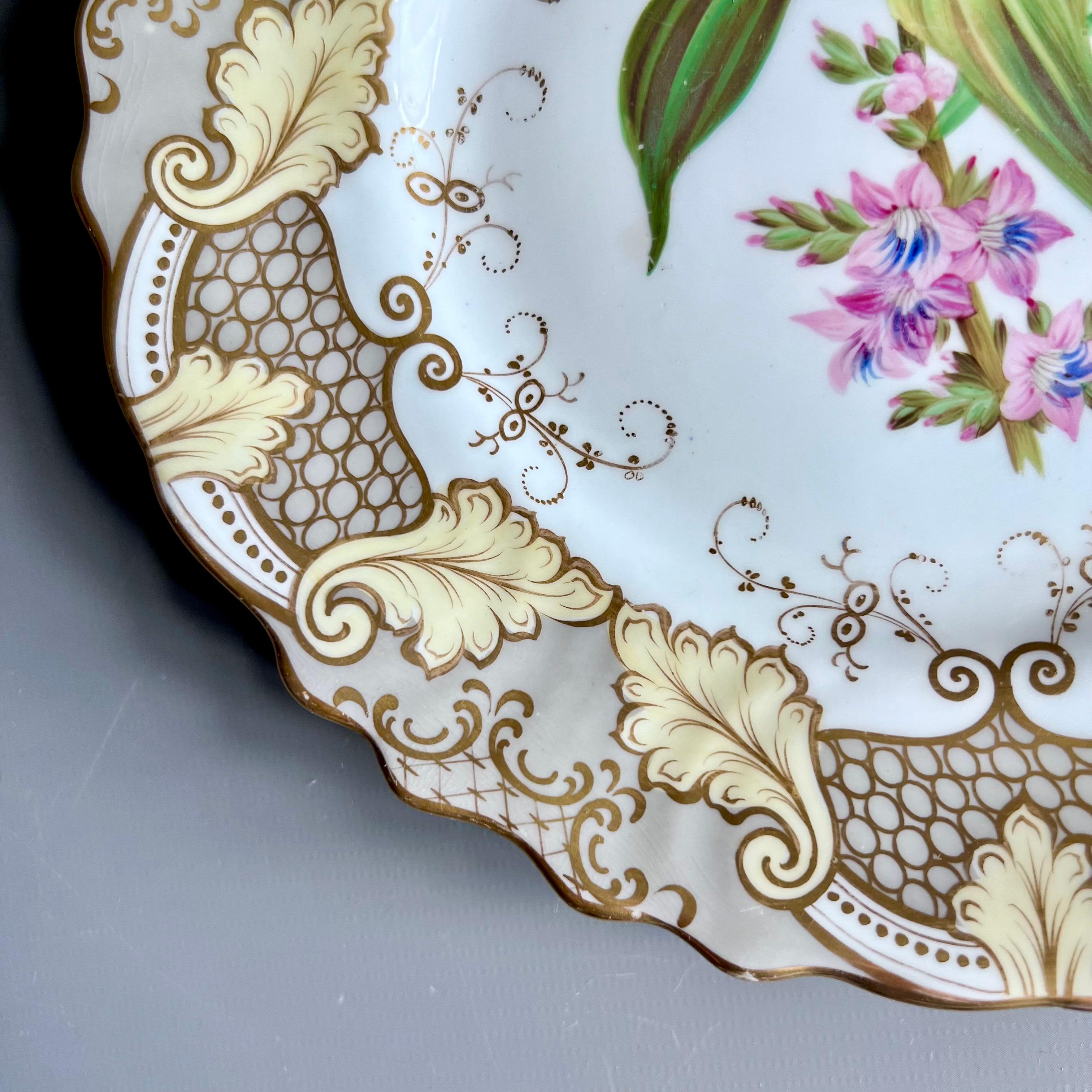 Plato Samuel Alcock, borde de acanto gris y beige, flor rosa, ca 1835 Porcelana en venta