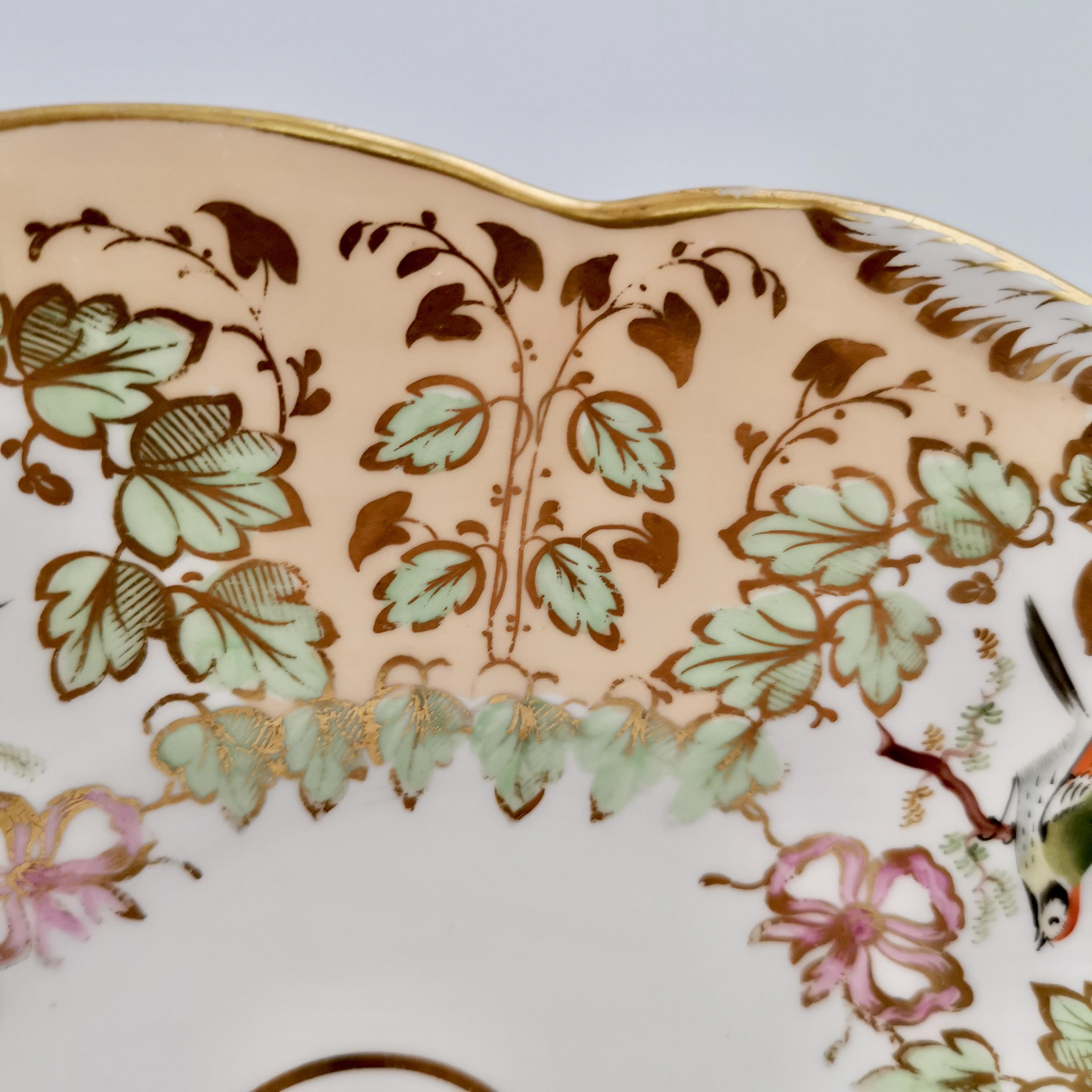 Samuel Alcock Porcelain Cake Plate, Peach Ground with Fine Birds, Victorian 1845 2