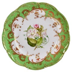 Samuel Alcock Porcelain Plate, Apple Green, White Convolvulus, Victorian ca 1860