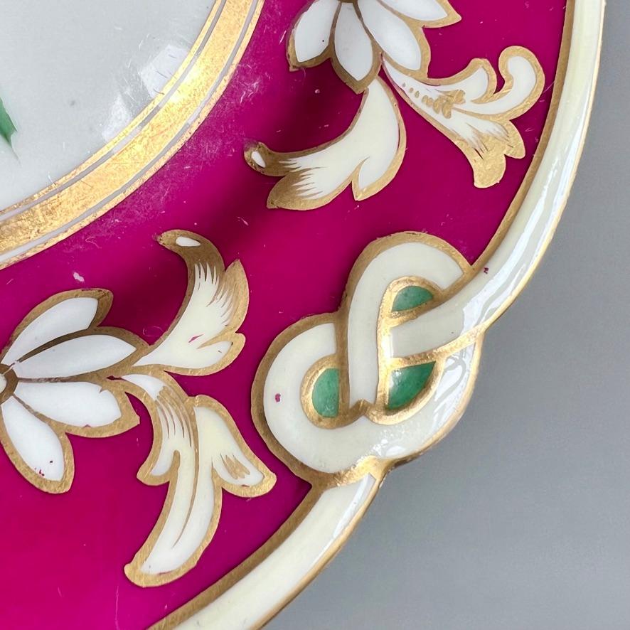 Samuel Alcock-Porzellanteller, Maroon Staffordshire-Bordüre mit Stiefmütterchen, 1854 im Angebot 3