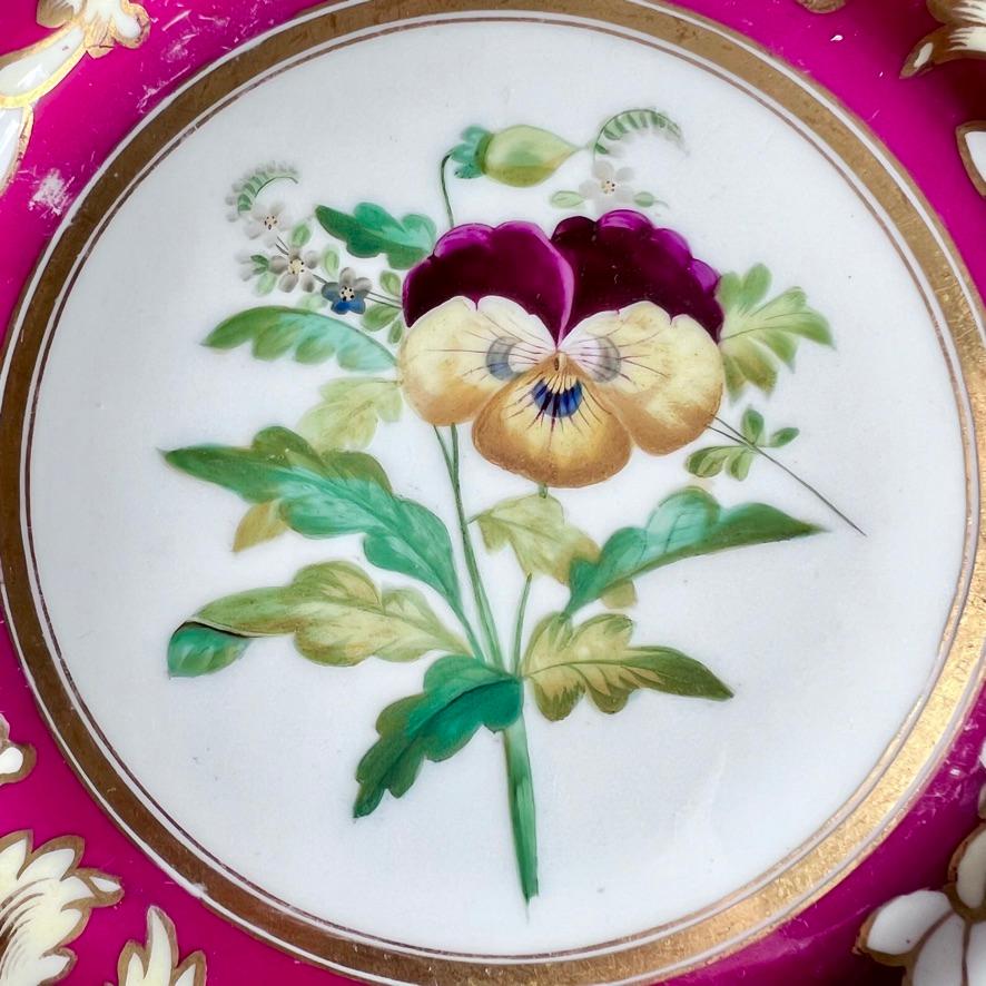 Samuel Alcock-Porzellanteller, Maroon Staffordshire-Bordüre mit Stiefmütterchen, 1854 (Englisch) im Angebot