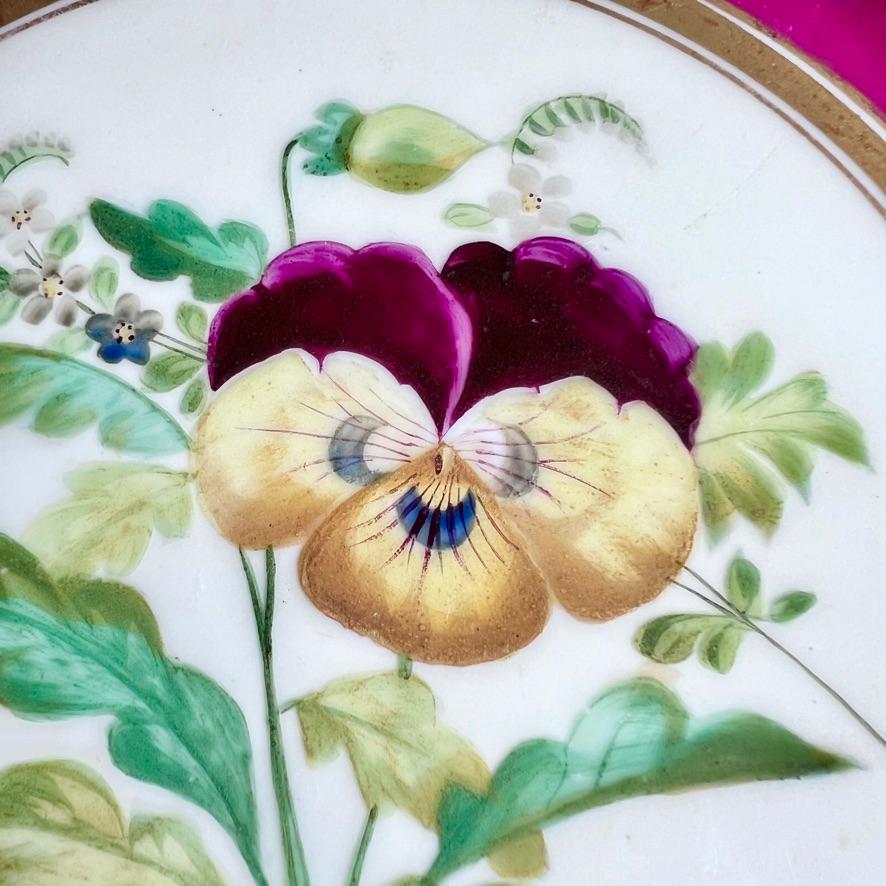 Samuel Alcock-Porzellanteller, Maroon Staffordshire-Bordüre mit Stiefmütterchen, 1854 (Handbemalt) im Angebot