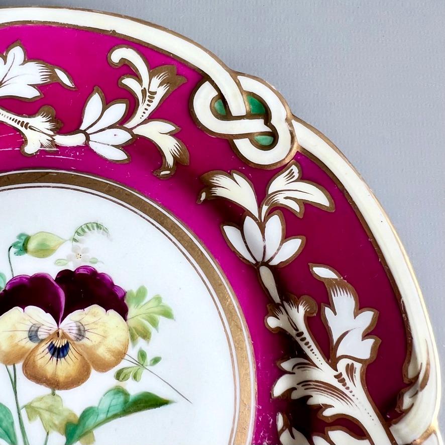 Samuel Alcock-Porzellanteller, Maroon Staffordshire-Bordüre mit Stiefmütterchen, 1854 (Mittleres 19. Jahrhundert) im Angebot