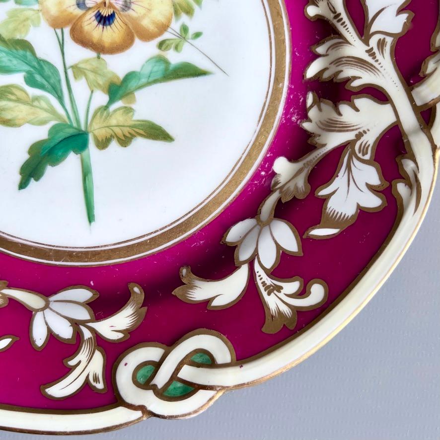 Samuel Alcock-Porzellanteller, Maroon Staffordshire-Bordüre mit Stiefmütterchen, 1854 im Angebot 1