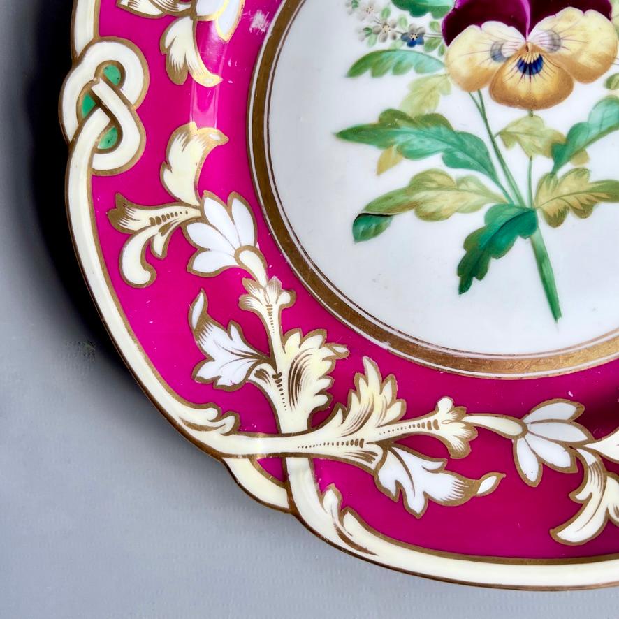 Samuel Alcock-Porzellanteller, Maroon Staffordshire-Bordüre mit Stiefmütterchen, 1854 im Angebot 2