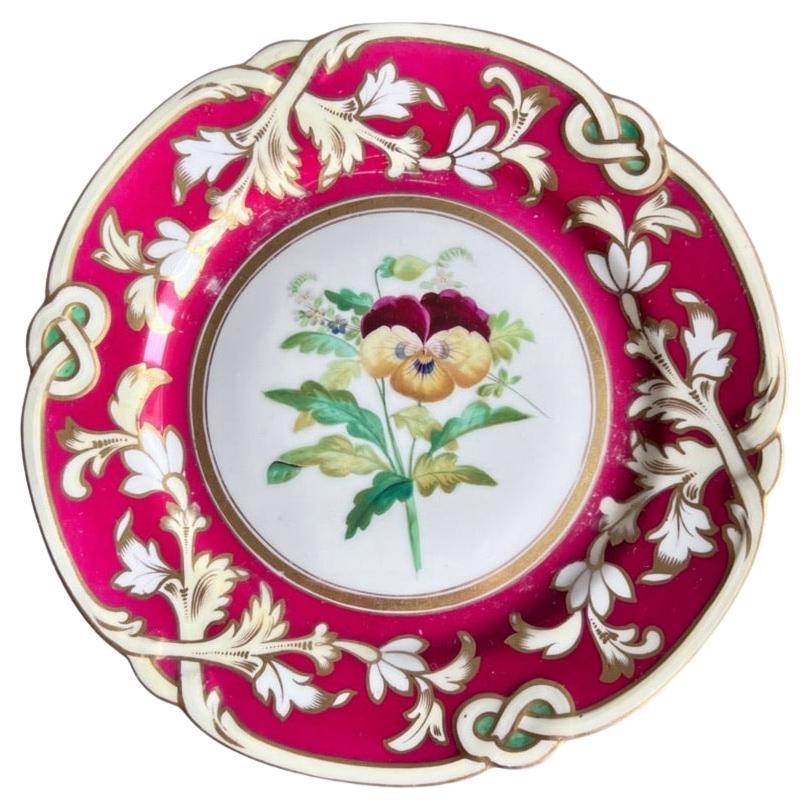 Piatto in porcellana Samuel Alcock, bordo maroon Staffordshire con viola del pensiero, 1854