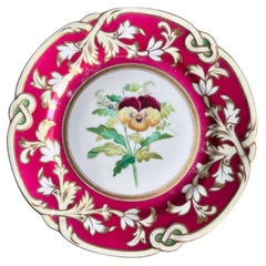 Assiette en porcelaine de Samuel Alcock, bordure marron Staffordshire avec pansy, 1854