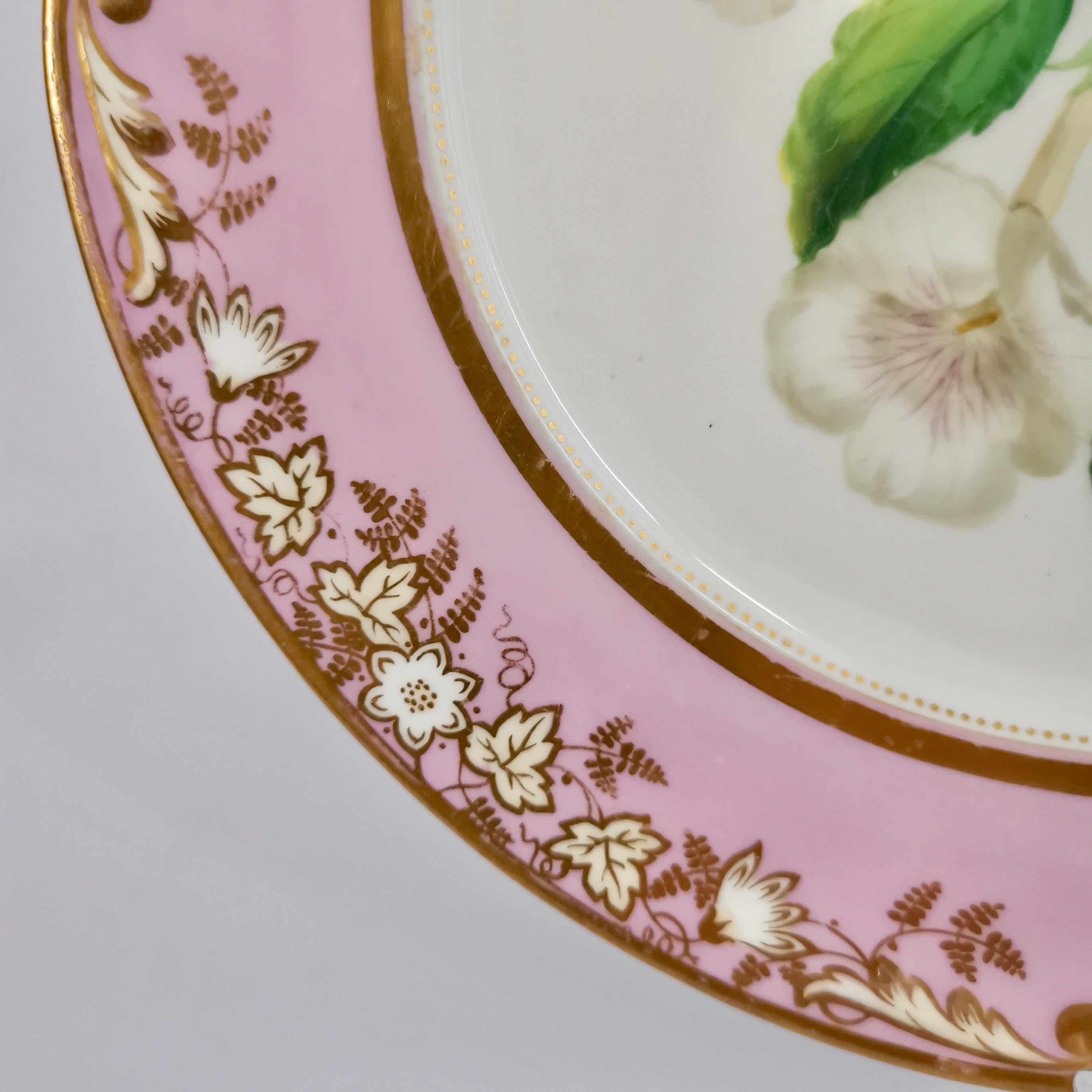 Samuel Alcock Porcelain Plate, Pink with White Achimenes, circa 1852 '1' 3