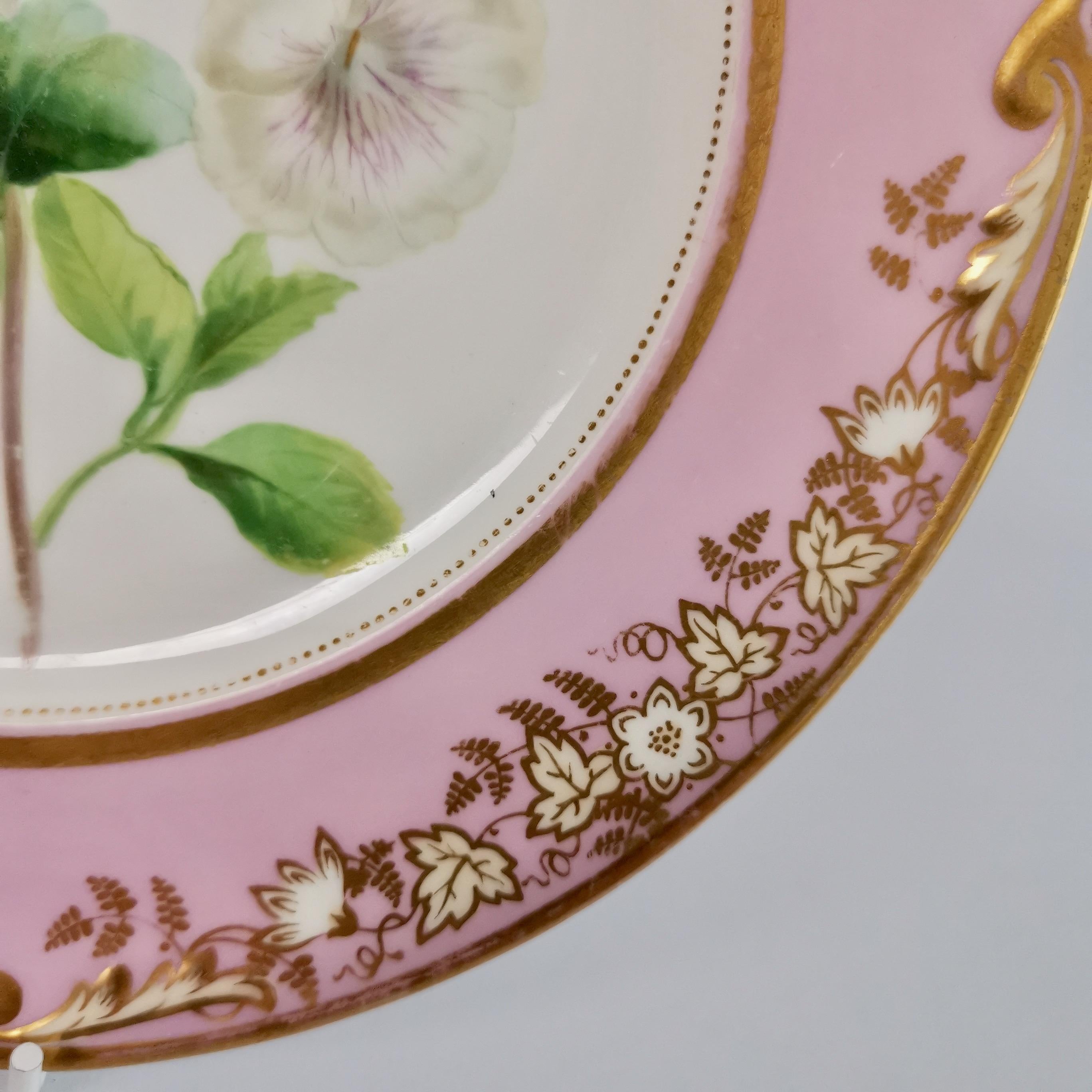 Samuel Alcock Porcelain Plate, Pink with White Achimenes, circa 1852 '1' 4