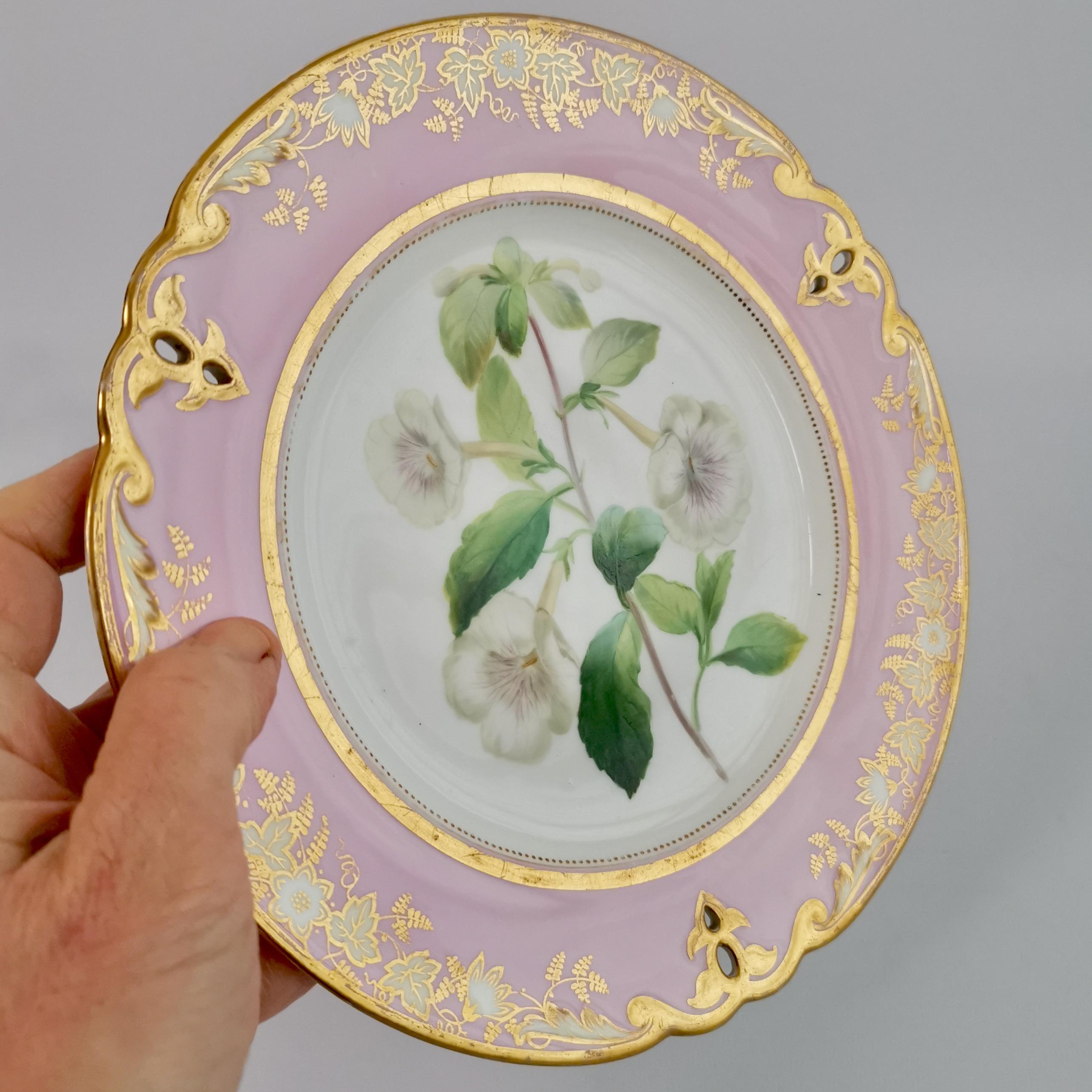 Samuel Alcock Porcelain Plate, Pink with White Achimenes, circa 1852 '1' 5