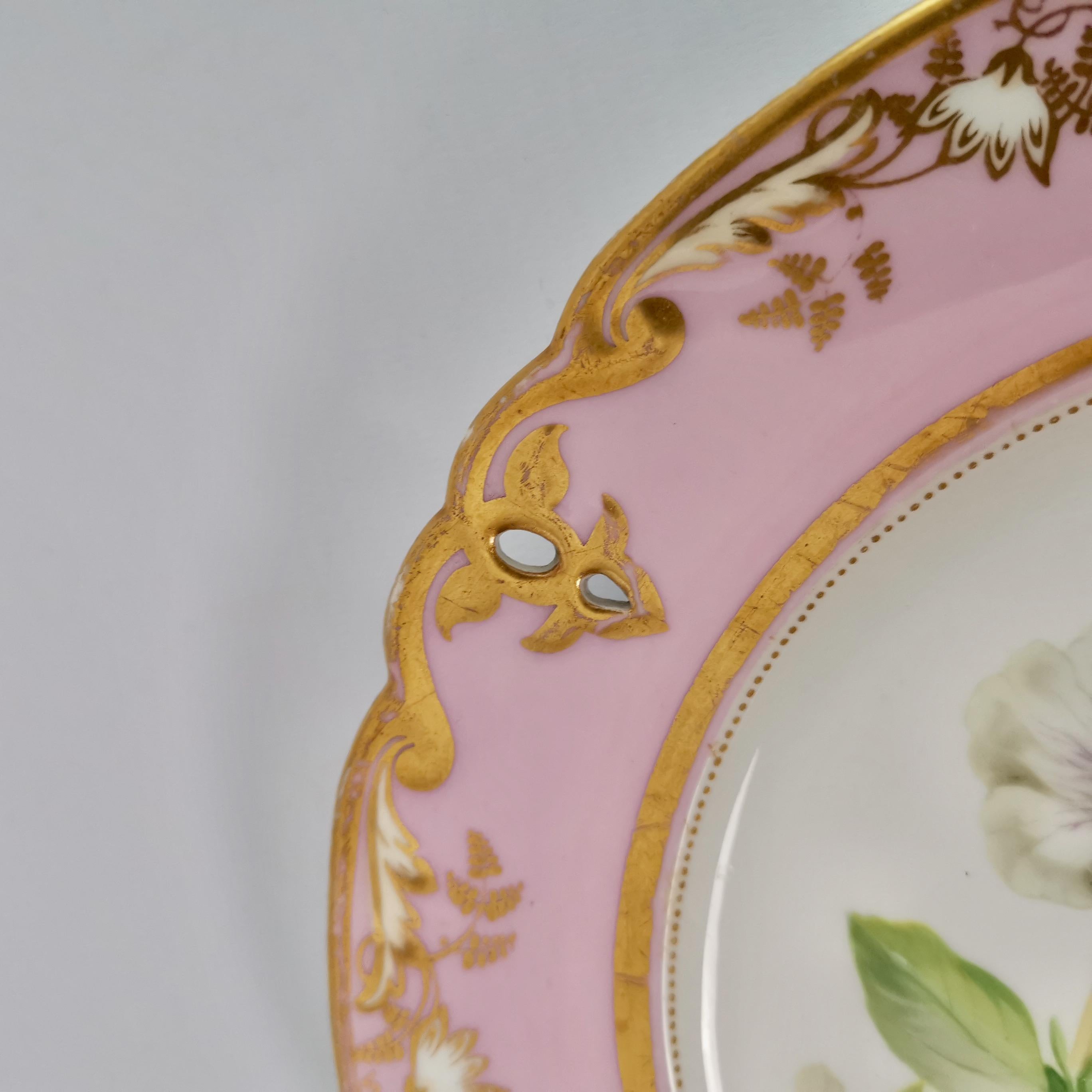 Samuel Alcock Porcelain Plate, Pink with White Achimenes, circa 1852 '1' 6