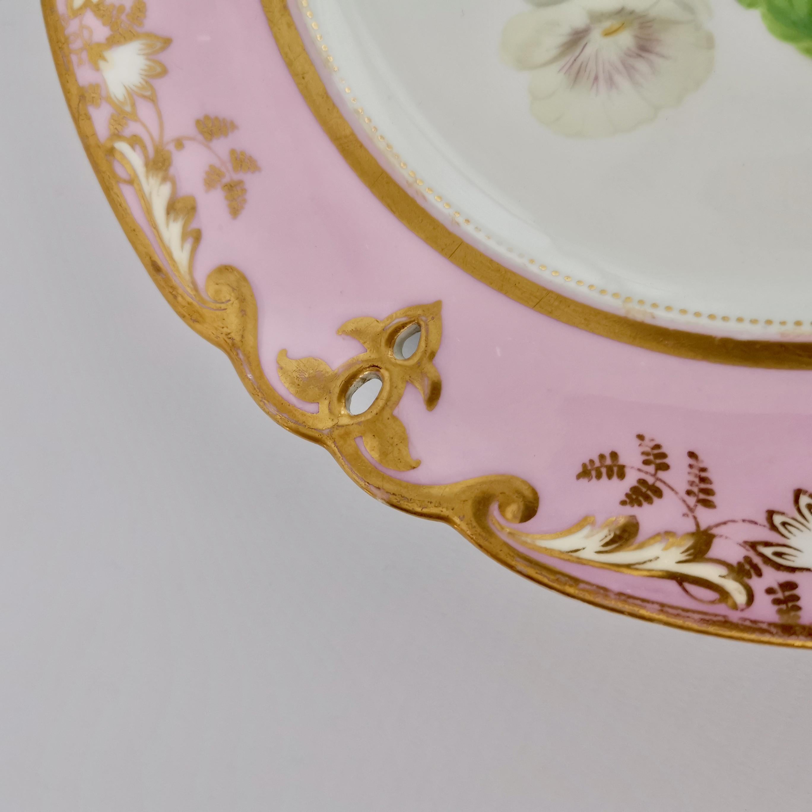 Samuel Alcock Porcelain Plate, Pink with White Achimenes, circa 1852 '1' 7