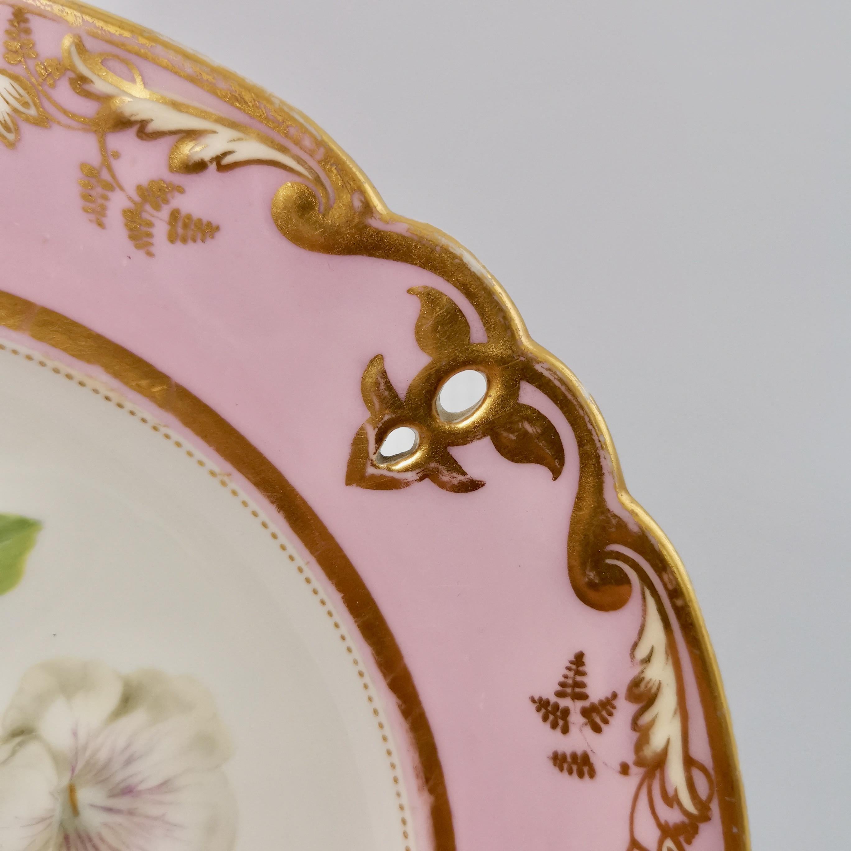 English Samuel Alcock Porcelain Plate, Pink with White Achimenes, circa 1852 '1'