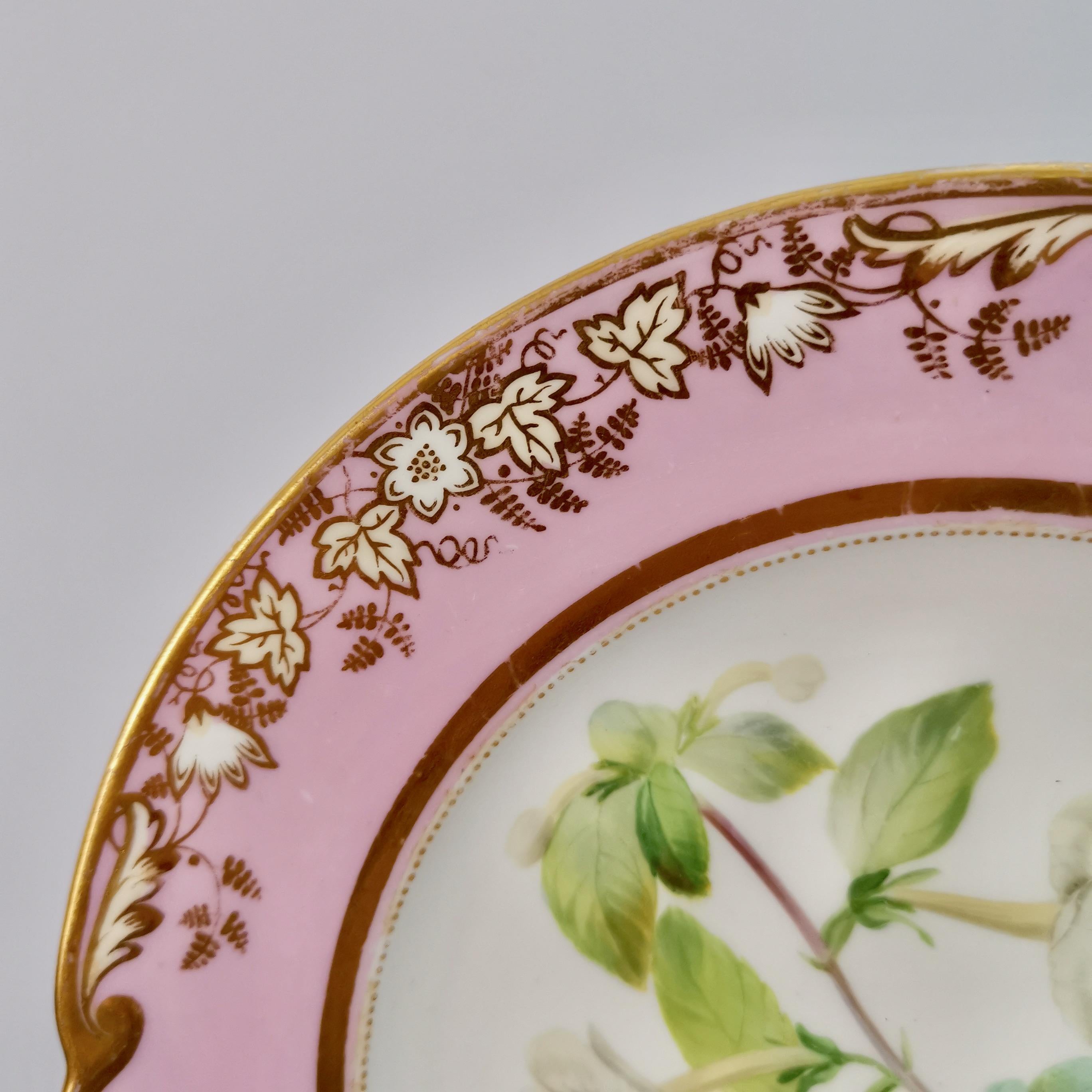Hand-Painted Samuel Alcock Porcelain Plate, Pink with White Achimenes, circa 1852 '1'