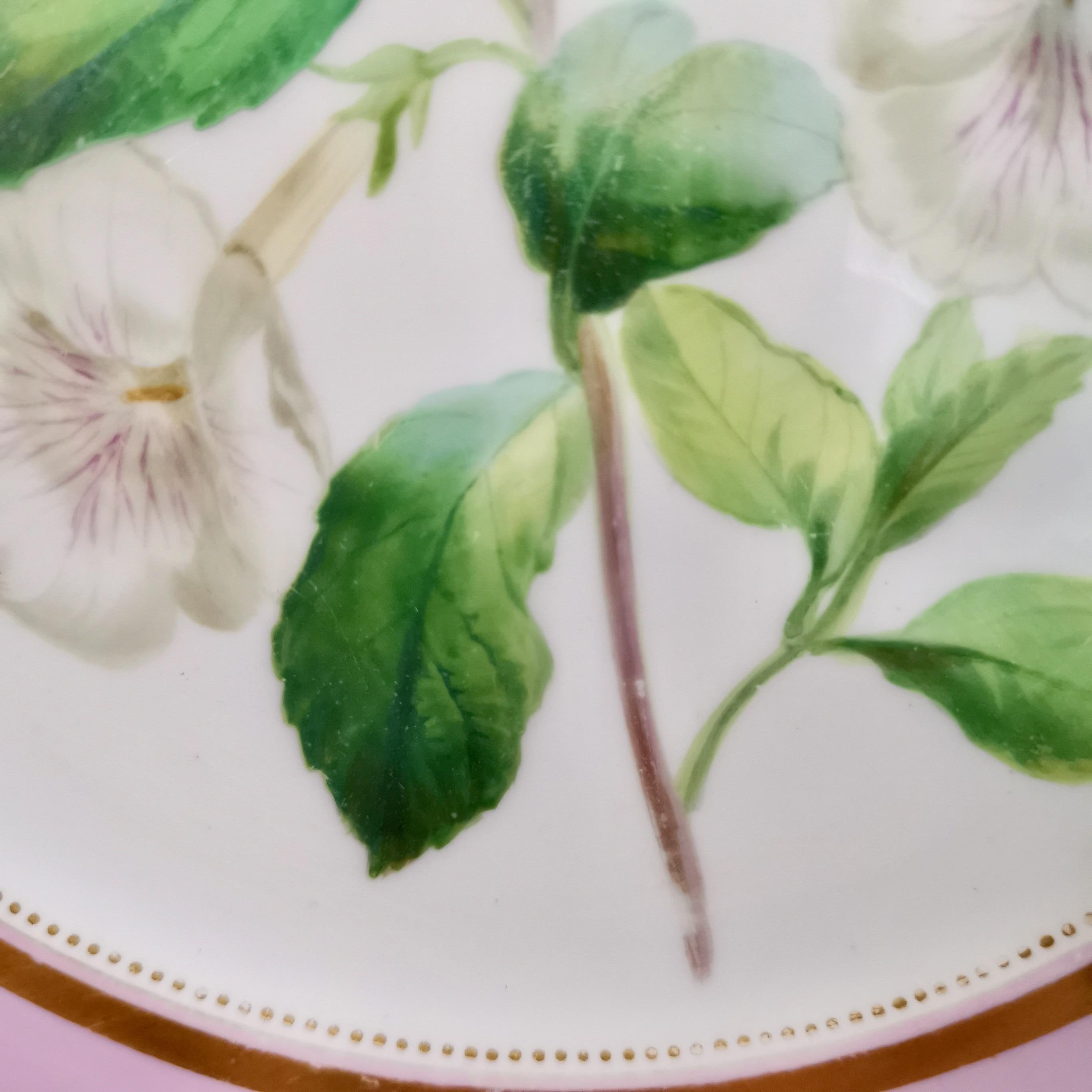Samuel Alcock Porcelain Plate, Pink with White Achimenes, circa 1852 '1' 1