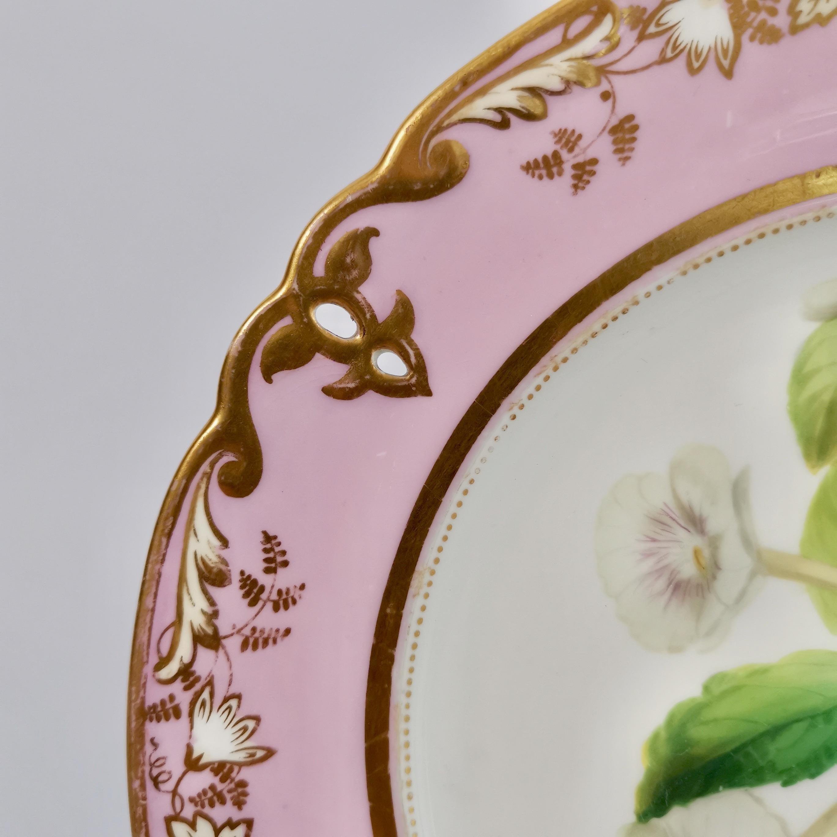 Samuel Alcock Porcelain Plate, Pink with White Achimenes, circa 1852 '1' 2