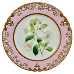 Assiette en porcelaine de Samuel Alcock, rose avec achimenes blancs, datant d'environ 1852 '1'