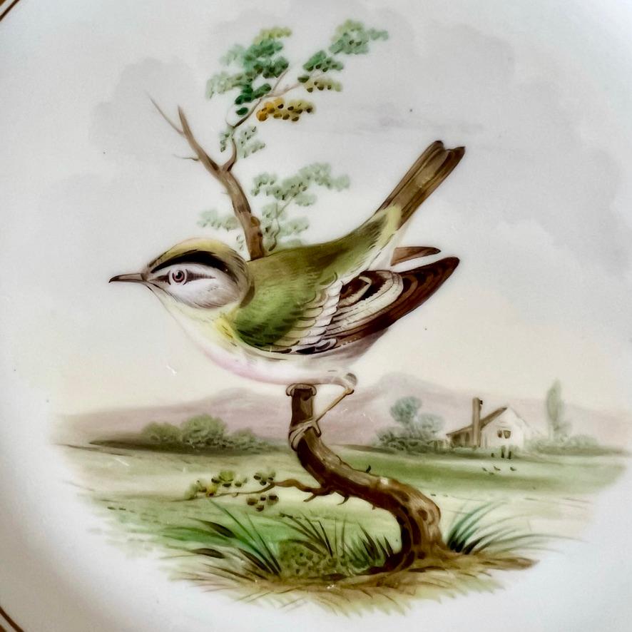 Samuel Alcock Set of 4 Plates, Pastel Colours, Birds and Flowers, ca 1857 For Sale 2