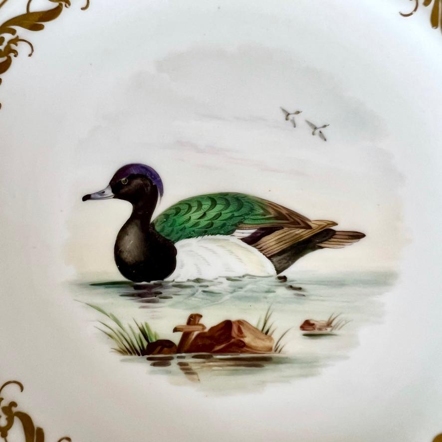 Samuel Alcock Set of 4 Plates, Pastel Colours, Birds and Flowers, ca 1857 For Sale 3