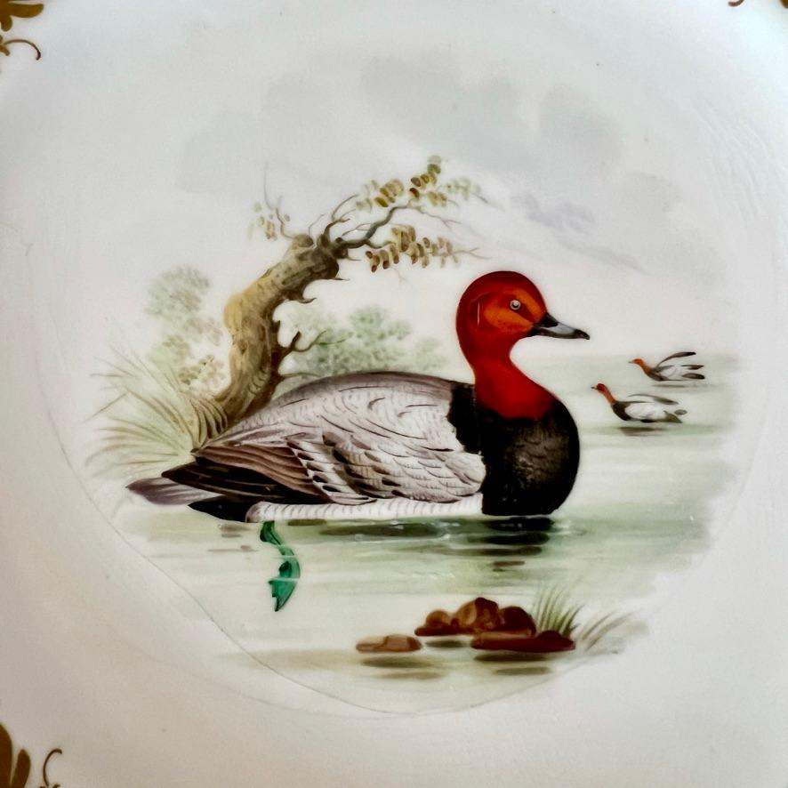 Samuel Alcock Set of 4 Plates, Pastel Colours, Birds and Flowers, ca 1857 For Sale 4