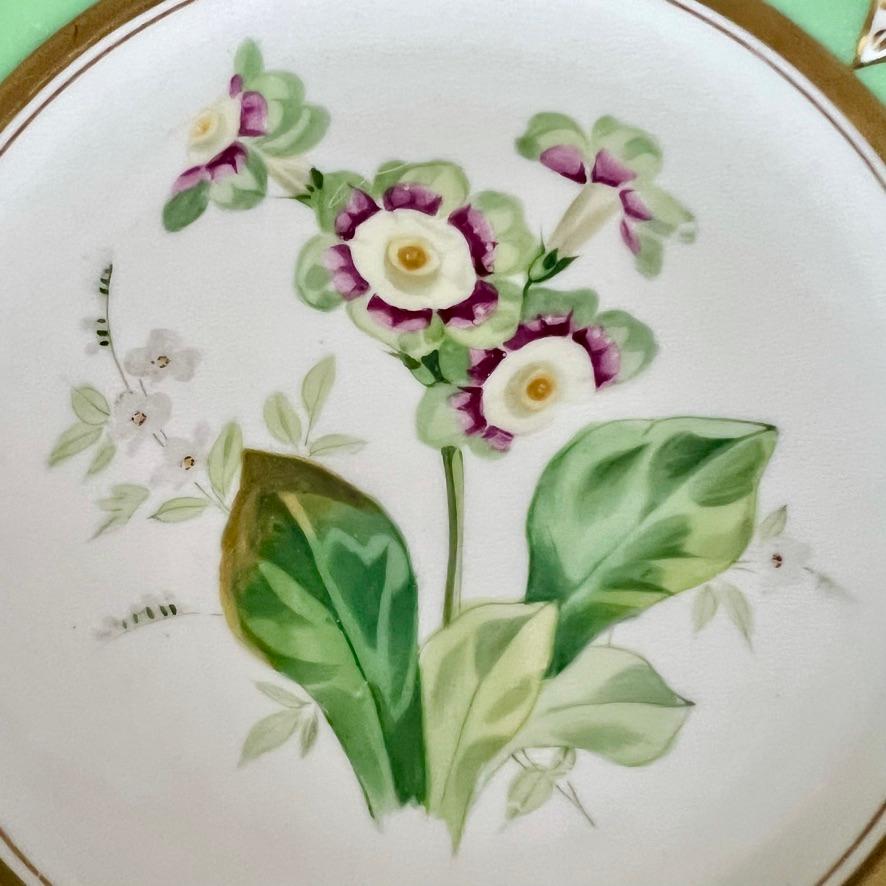 Samuel Alcock Set of 4 Plates, Pastel Colours, Birds and Flowers, ca 1857 For Sale 5