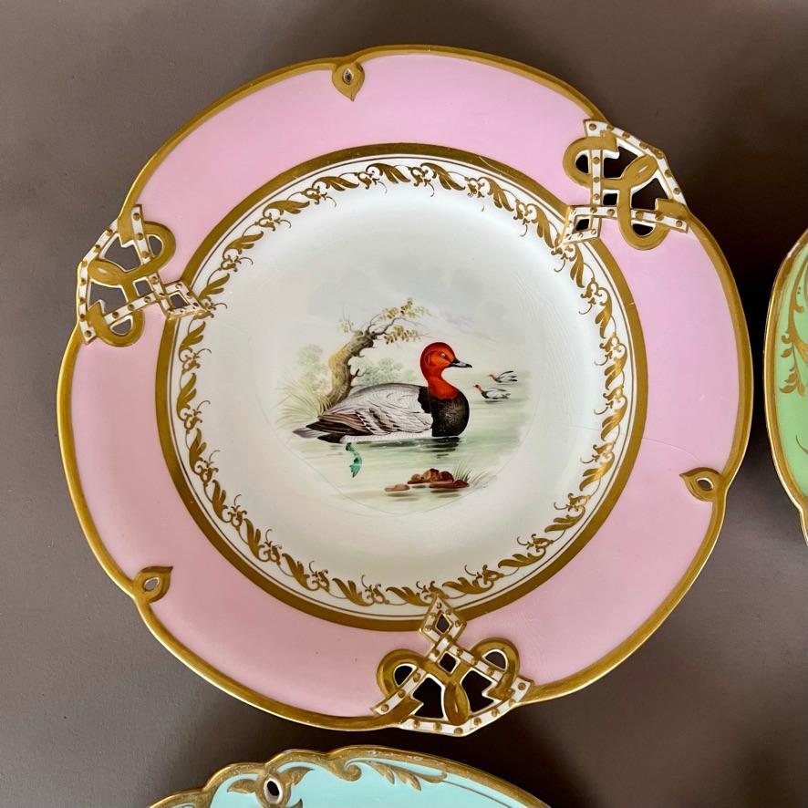A set of four pierced dessert plates, 3 in the “Staffordshire” shape, in harlequin pastel colours with gilt, three with named birds and one with a flower

Patterns 3/9414, 3/9772 and unknown
Year: ca 1857
Size: 22.5cm (8.75”) diameter
Condition:
