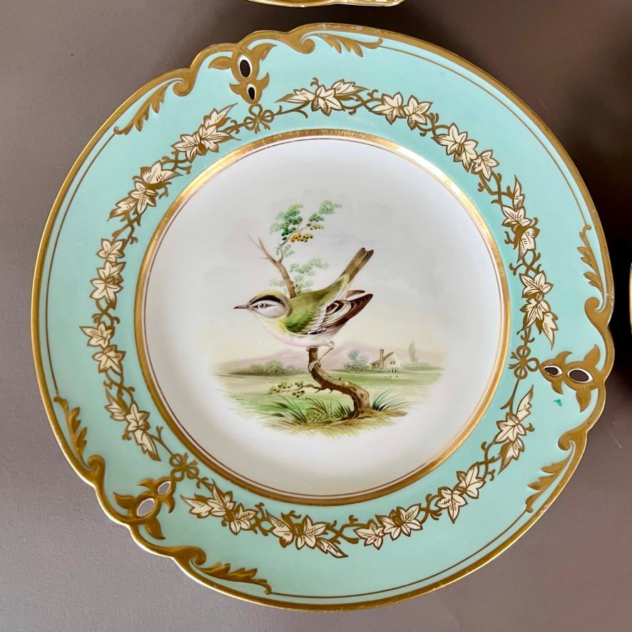 Victorian Samuel Alcock Set of 4 Plates, Pastel Colours, Birds and Flowers, ca 1857 For Sale