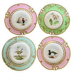 Set di 4 piatti di Samuel Alcock, colori pastello, uccelli e fiori, 1857 ca.