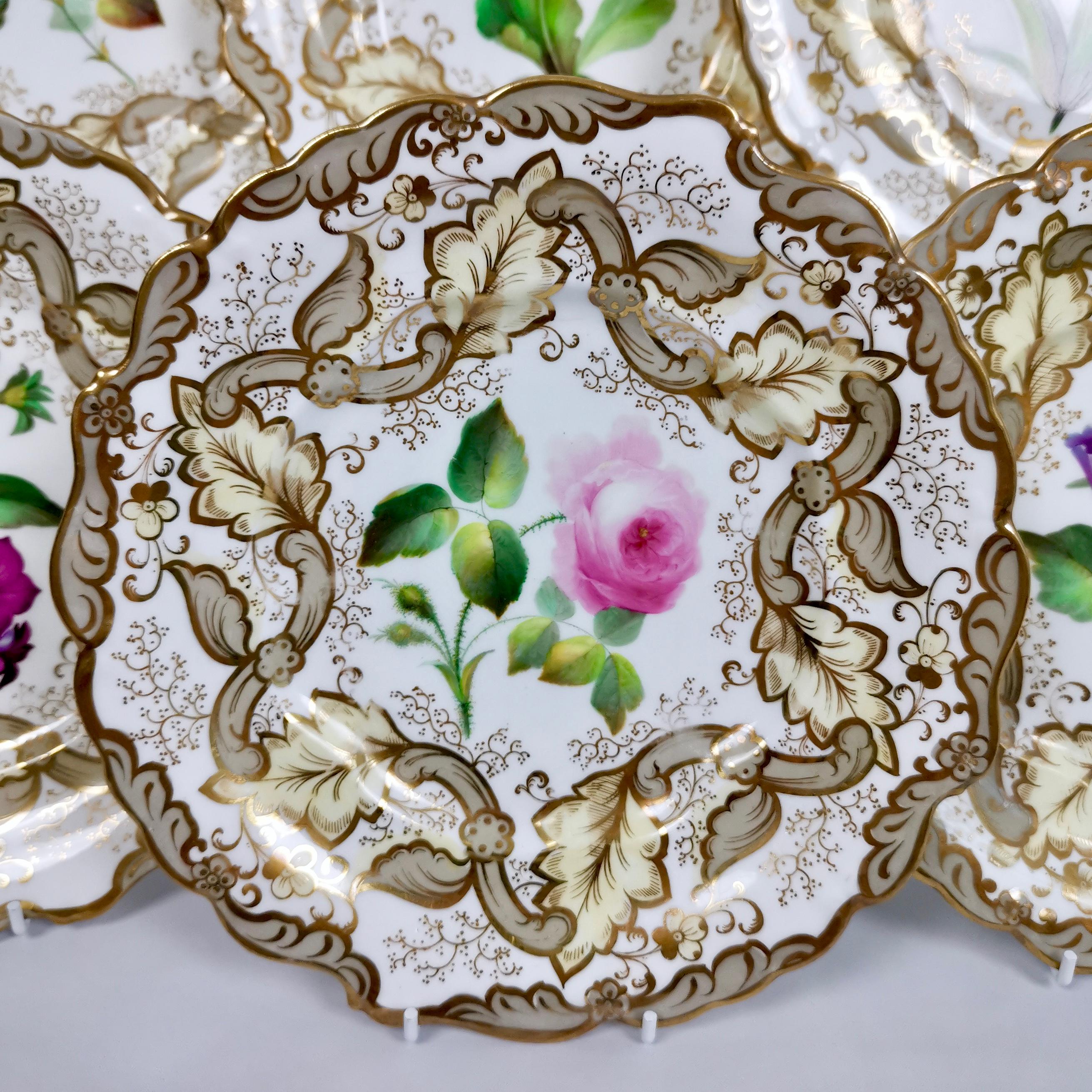 English Samuel Alcock Set of 8 Dessert Plates, Superb Flowers, 1835-1840