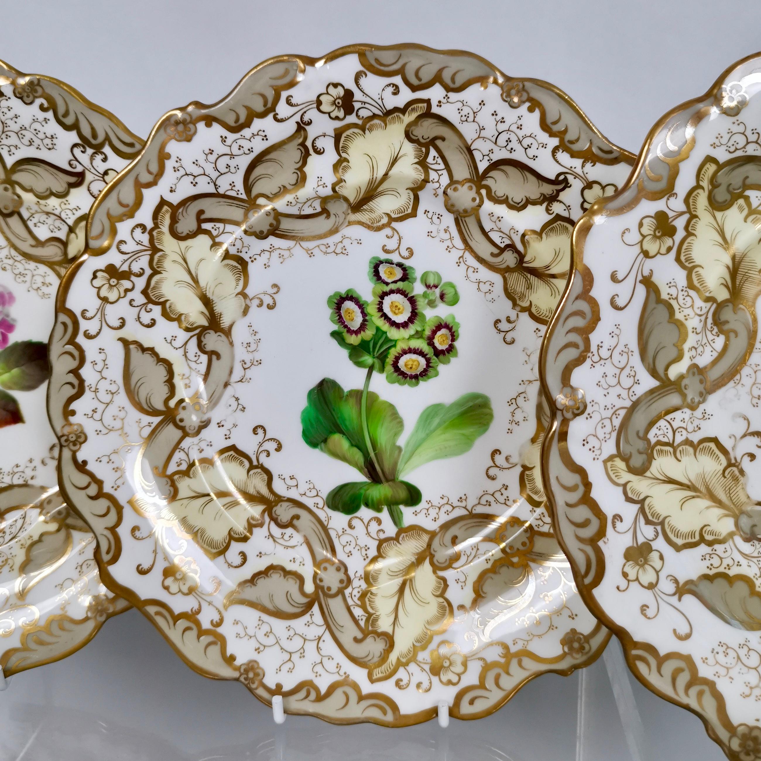 Hand-Painted Samuel Alcock Set of 8 Dessert Plates, Superb Flowers, 1835-1840