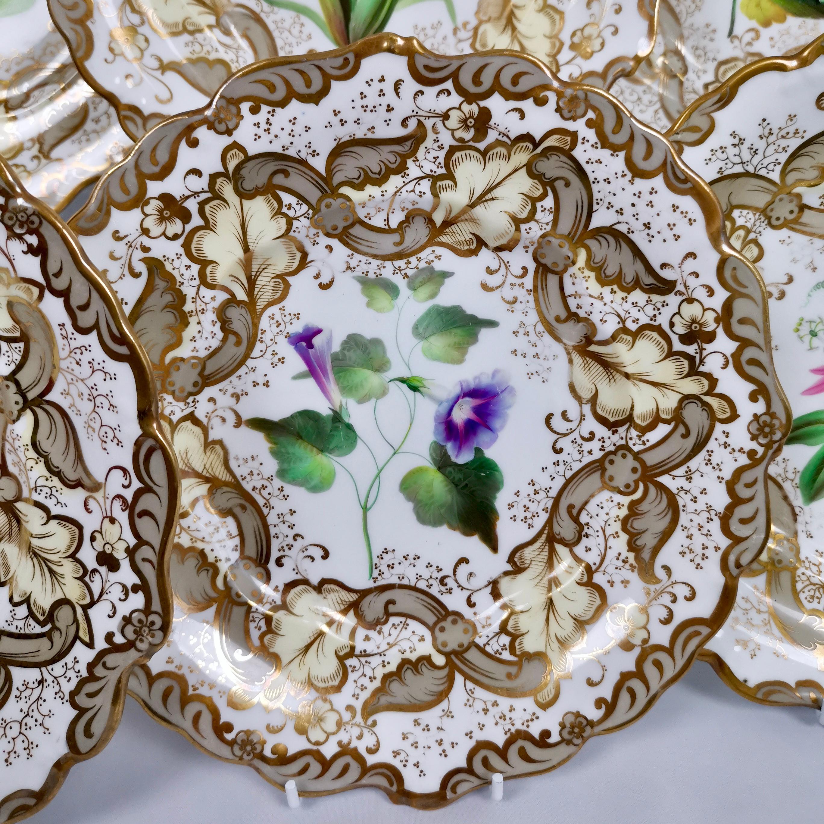 Mid-19th Century Samuel Alcock Set of 8 Dessert Plates, Superb Flowers, 1835-1840