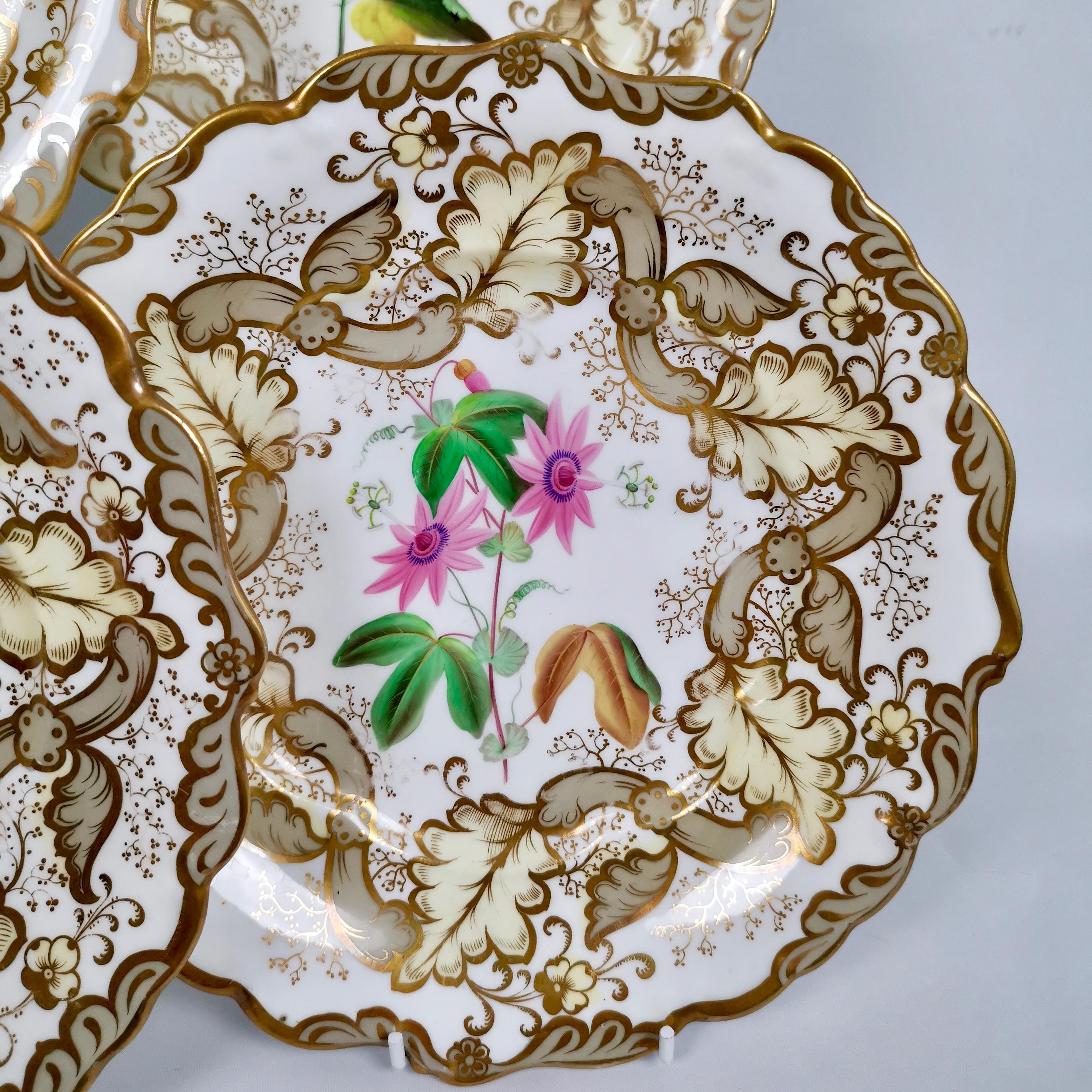 Porcelain Samuel Alcock Set of 8 Dessert Plates, Superb Flowers, 1835-1840