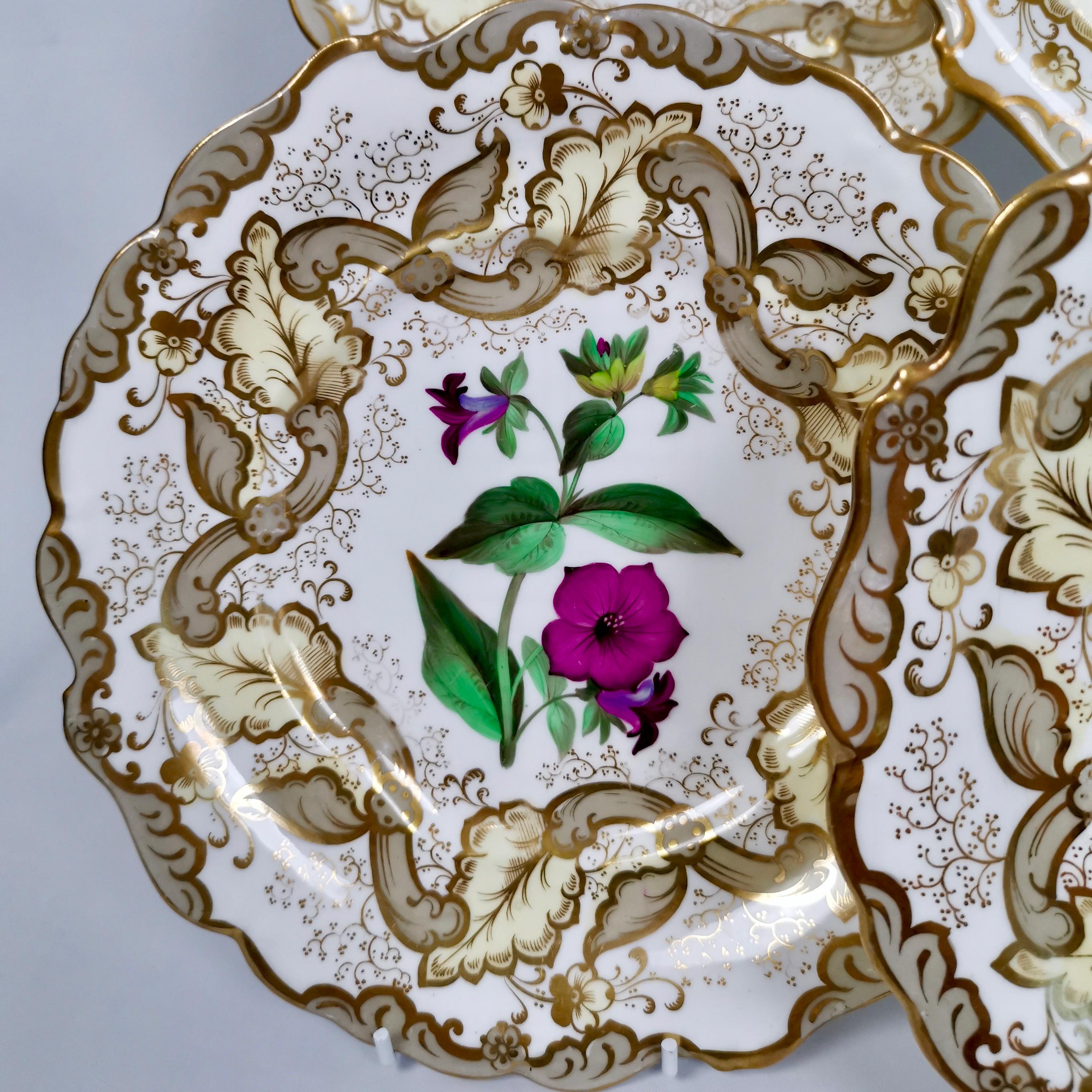 Samuel Alcock Set of 8 Dessert Plates, Superb Flowers, 1835-1840 1