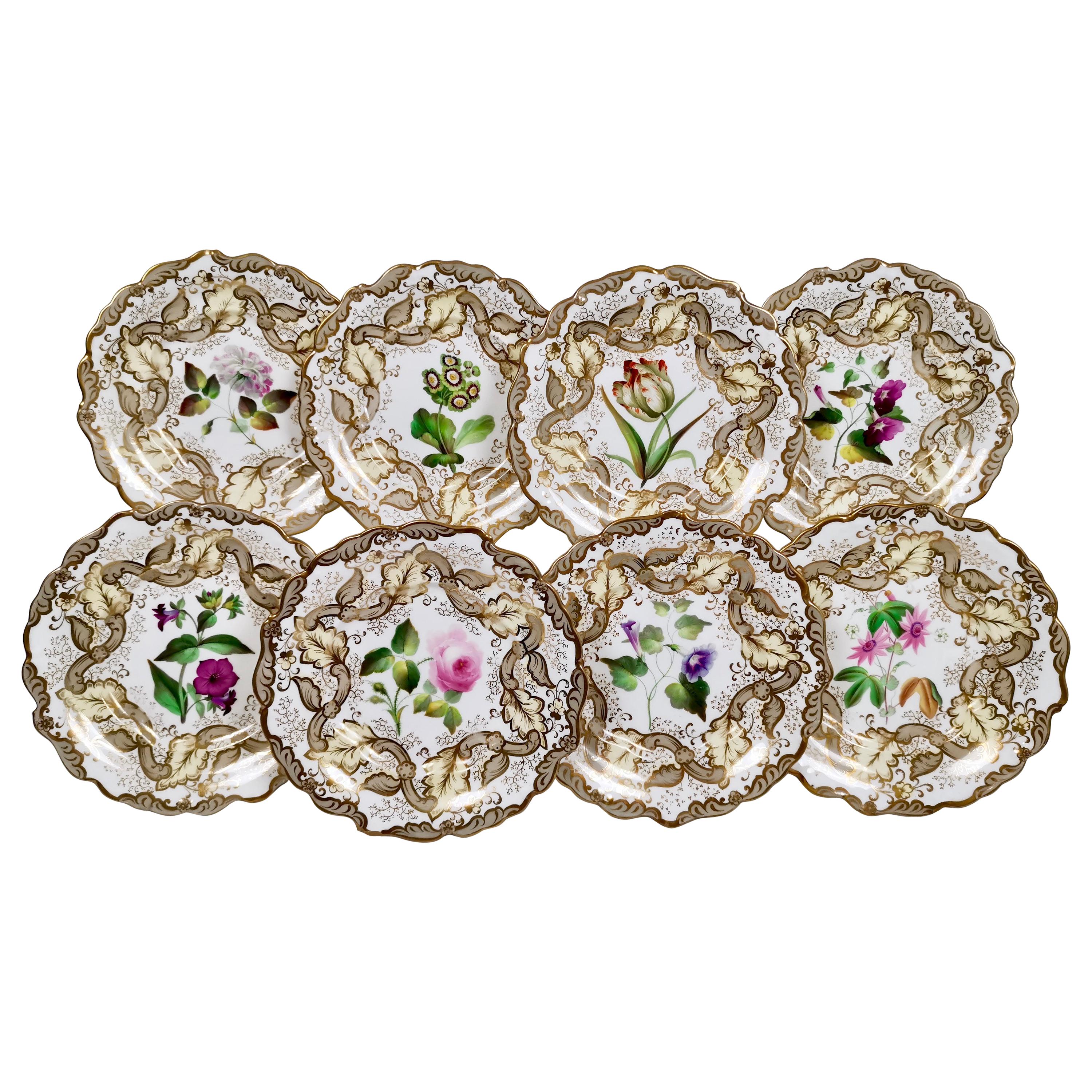 Samuel Alcock Set of 8 Dessert Plates, Superb Flowers, 1835-1840