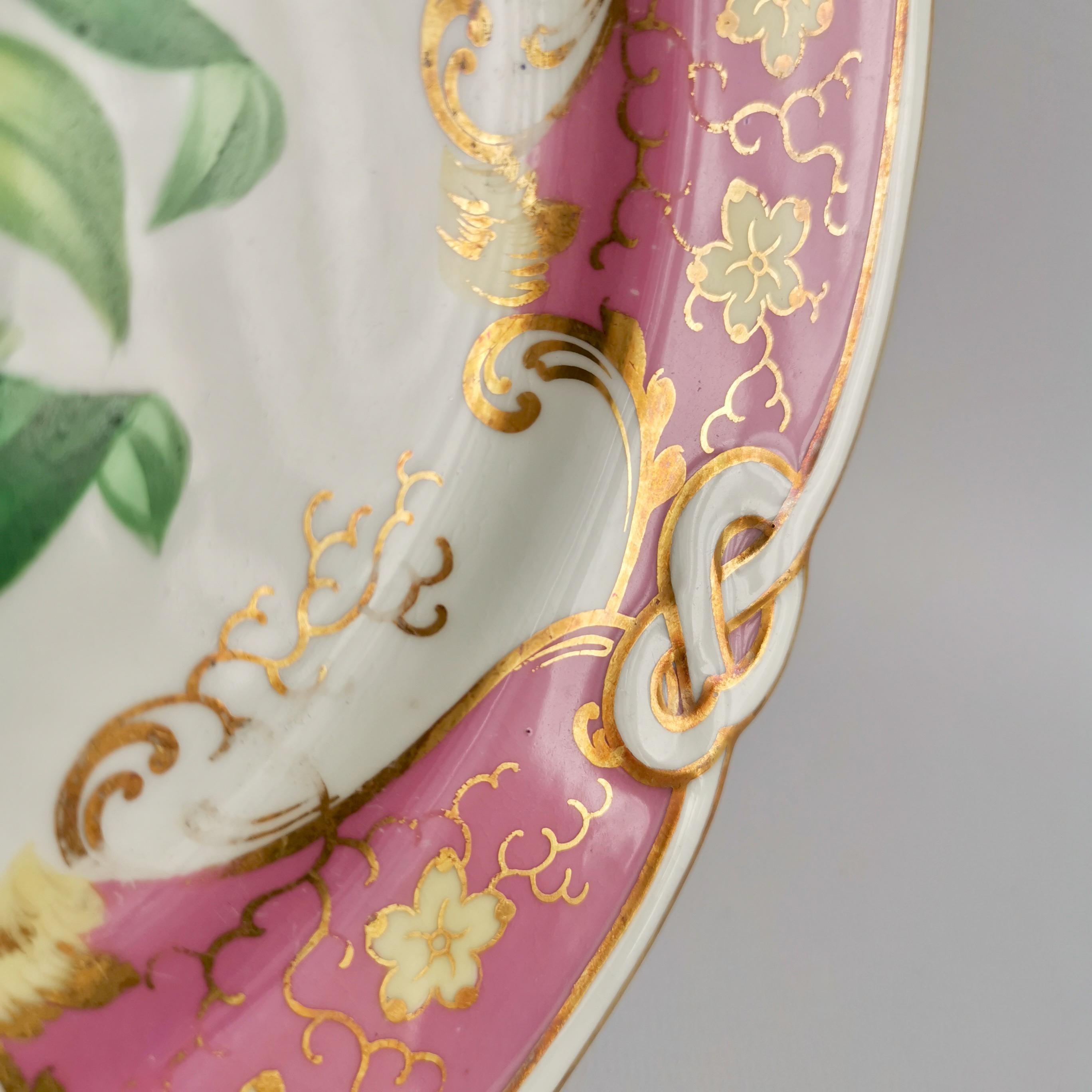 Samuel Alcock Small Porcelain Dessert Set, Pink with Flowers, Victorian 1854 8