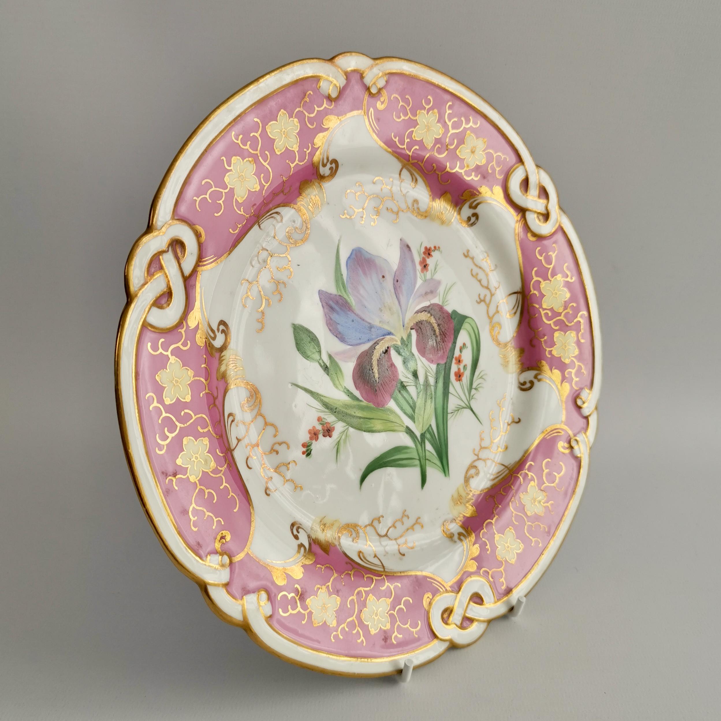 Samuel Alcock Small Porcelain Dessert Set, Pink with Flowers, Victorian 1854 10