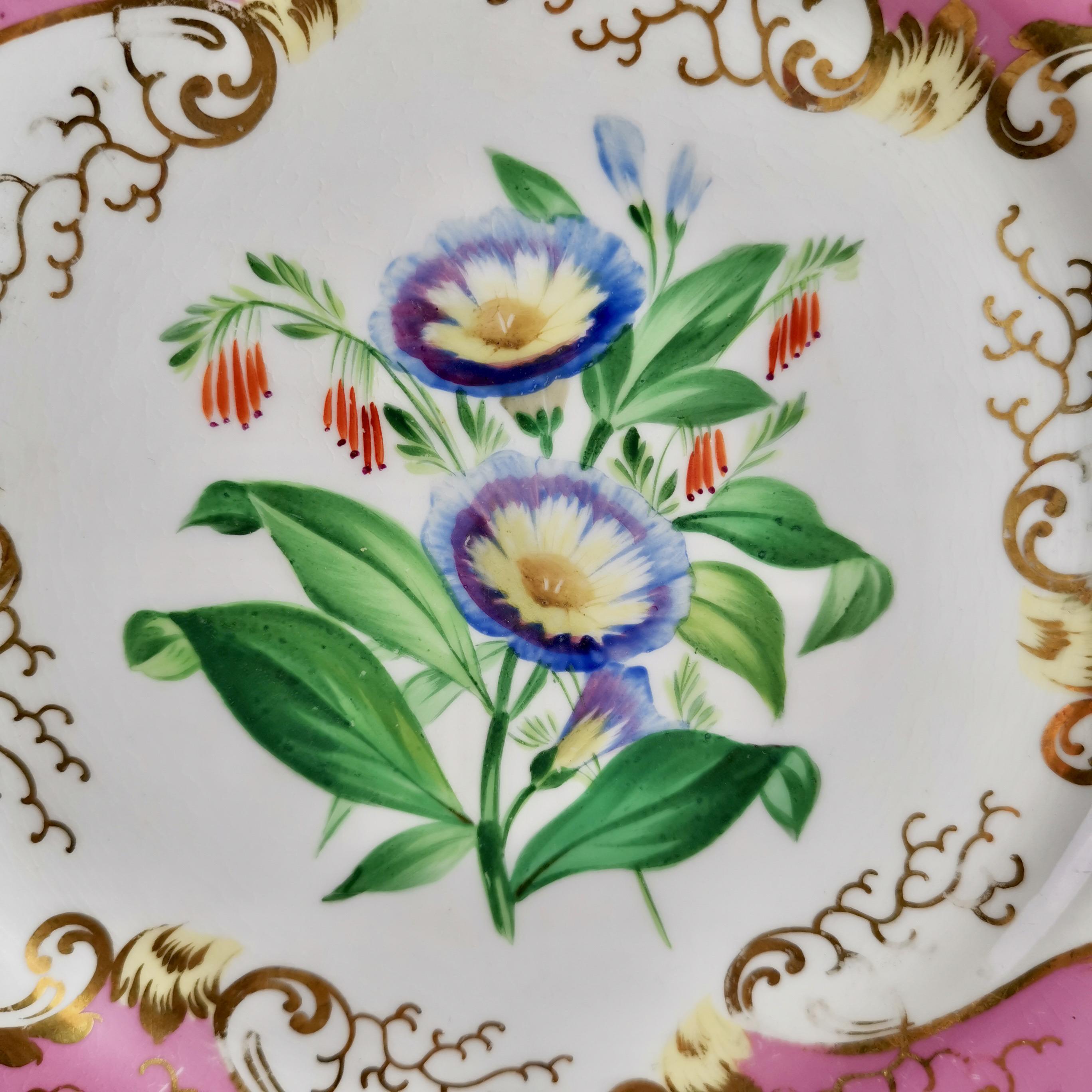 Samuel Alcock Small Porcelain Dessert Set, Pink with Flowers, Victorian 1854 1