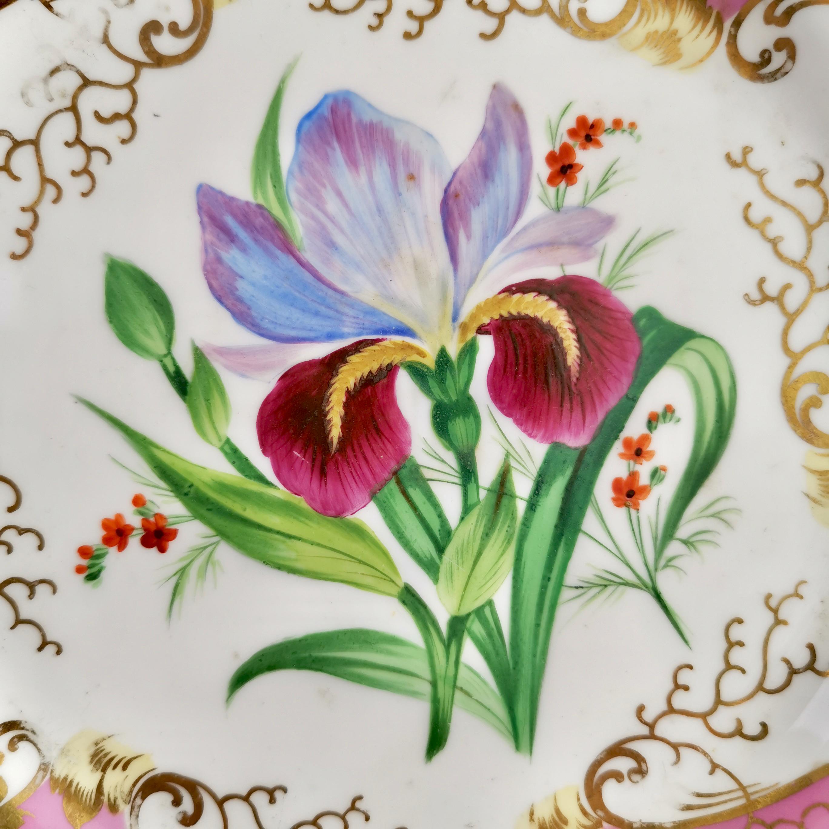 Samuel Alcock Small Porcelain Dessert Set, Pink with Flowers, Victorian 1854 2