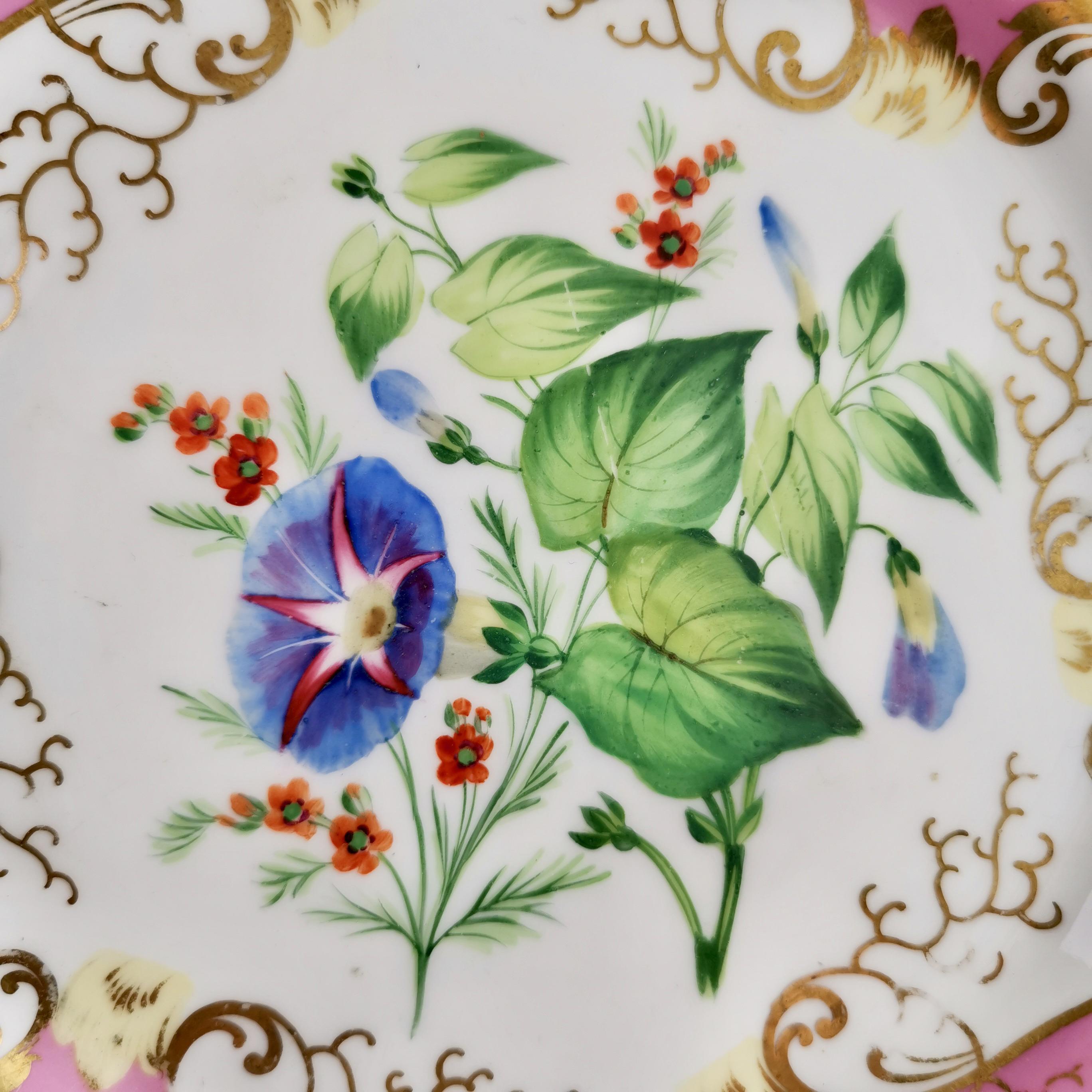 Samuel Alcock Small Porcelain Dessert Set, Pink with Flowers, Victorian 1854 3