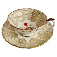 Samuel Alcock Teacup, Grey Striped with Flower Rococo Revival, circa 1845
