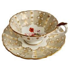 Samuel Alcock Teacup, Grey Striped with Flower Rococo Revival, circa 1845