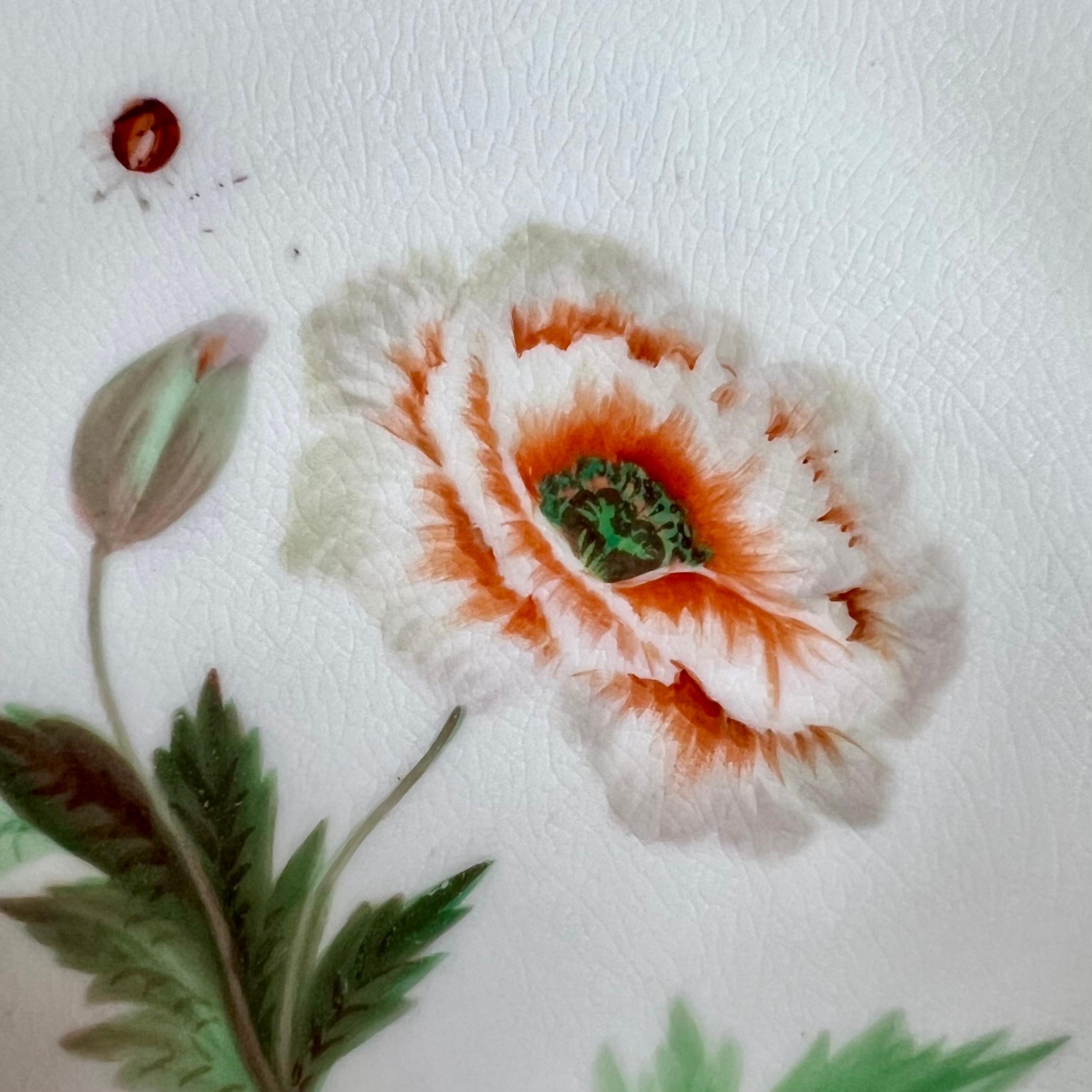 Samuel Alcock Teacup, Japanese Green Border, Flowers and Ladybird, ca 1843 For Sale 1