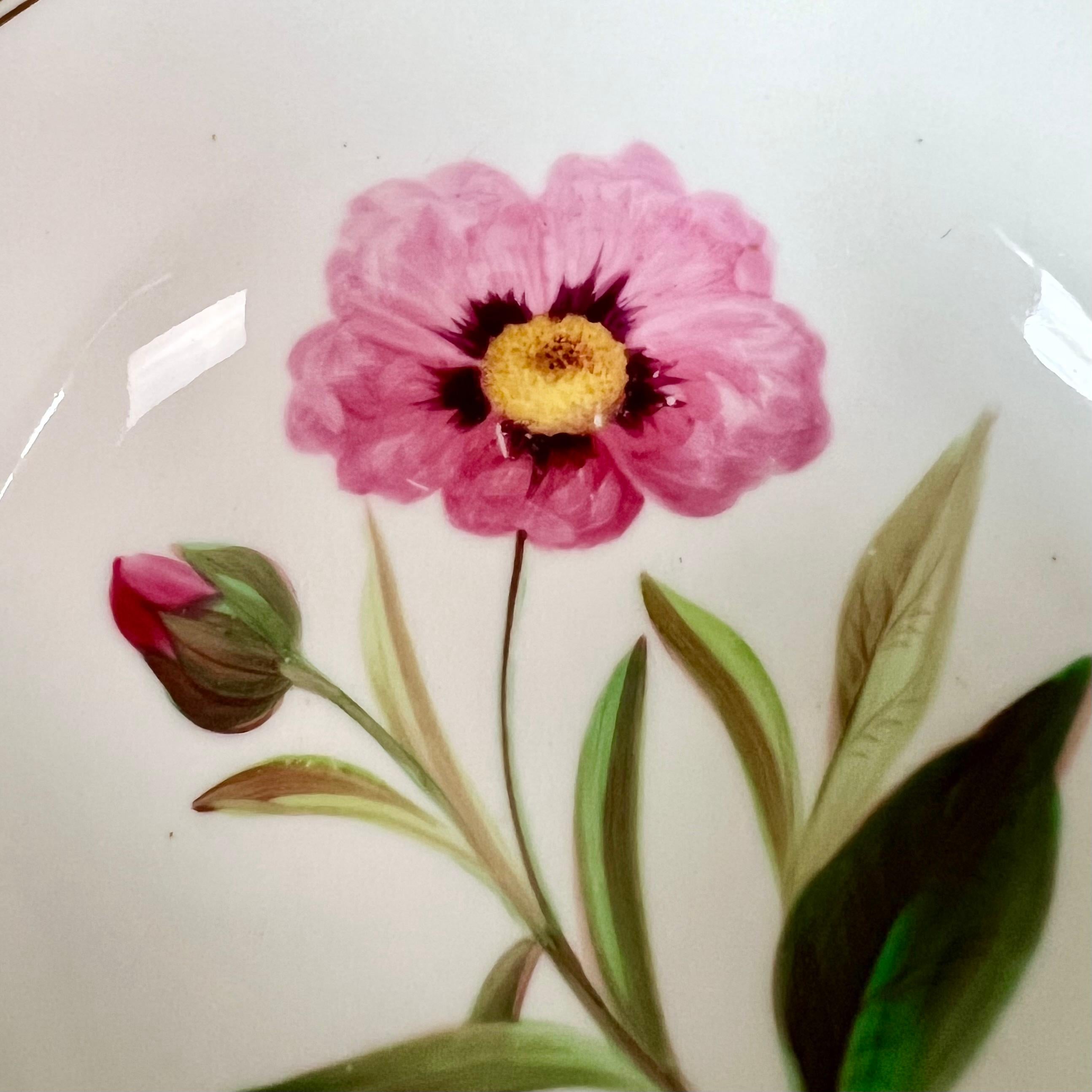 Samuel Alcock Teacup, Japanese Green Border, Flowers and Ladybird, ca 1843 For Sale 3