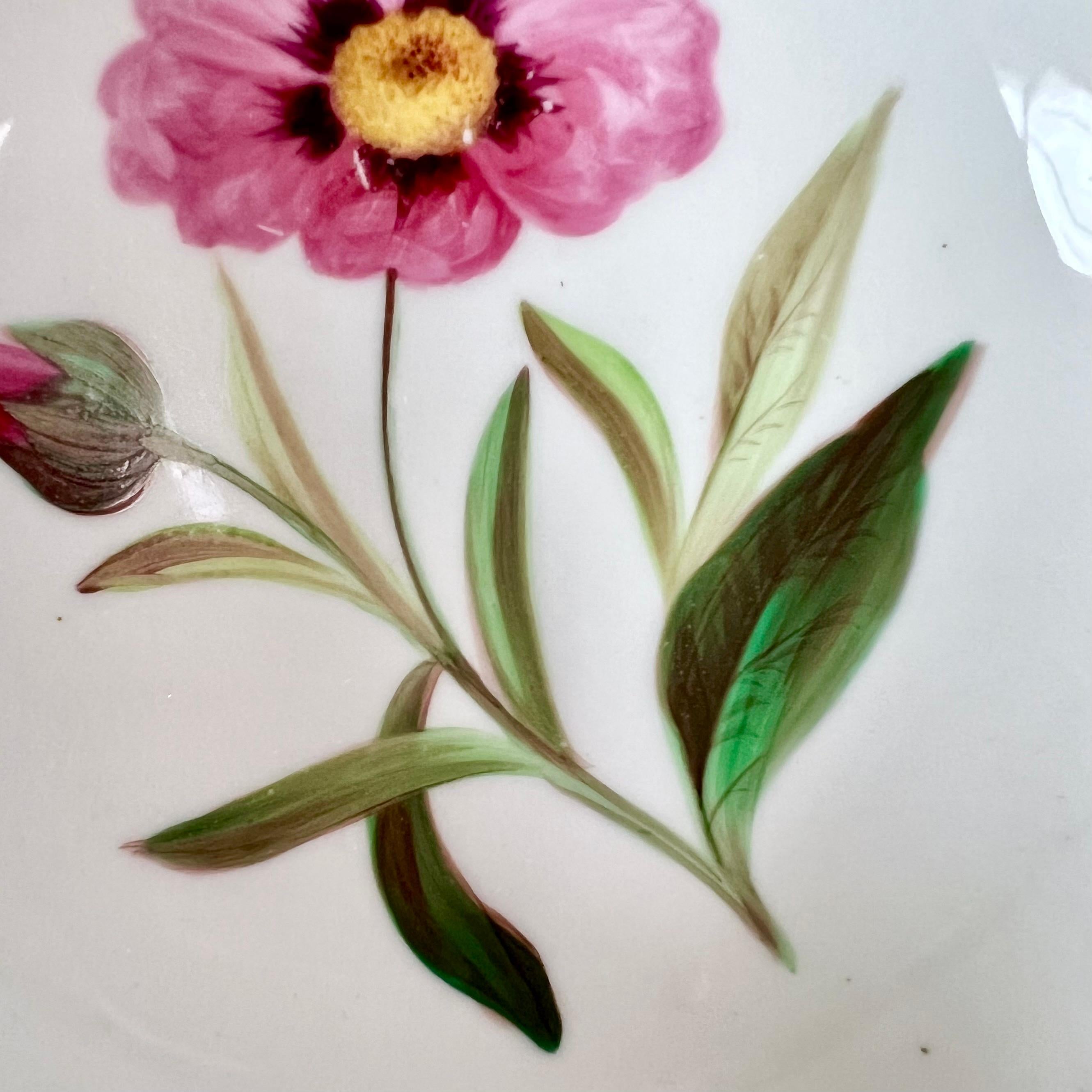 Samuel Alcock Teacup, Japanese Green Border, Flowers and Ladybird, ca 1843 For Sale 4