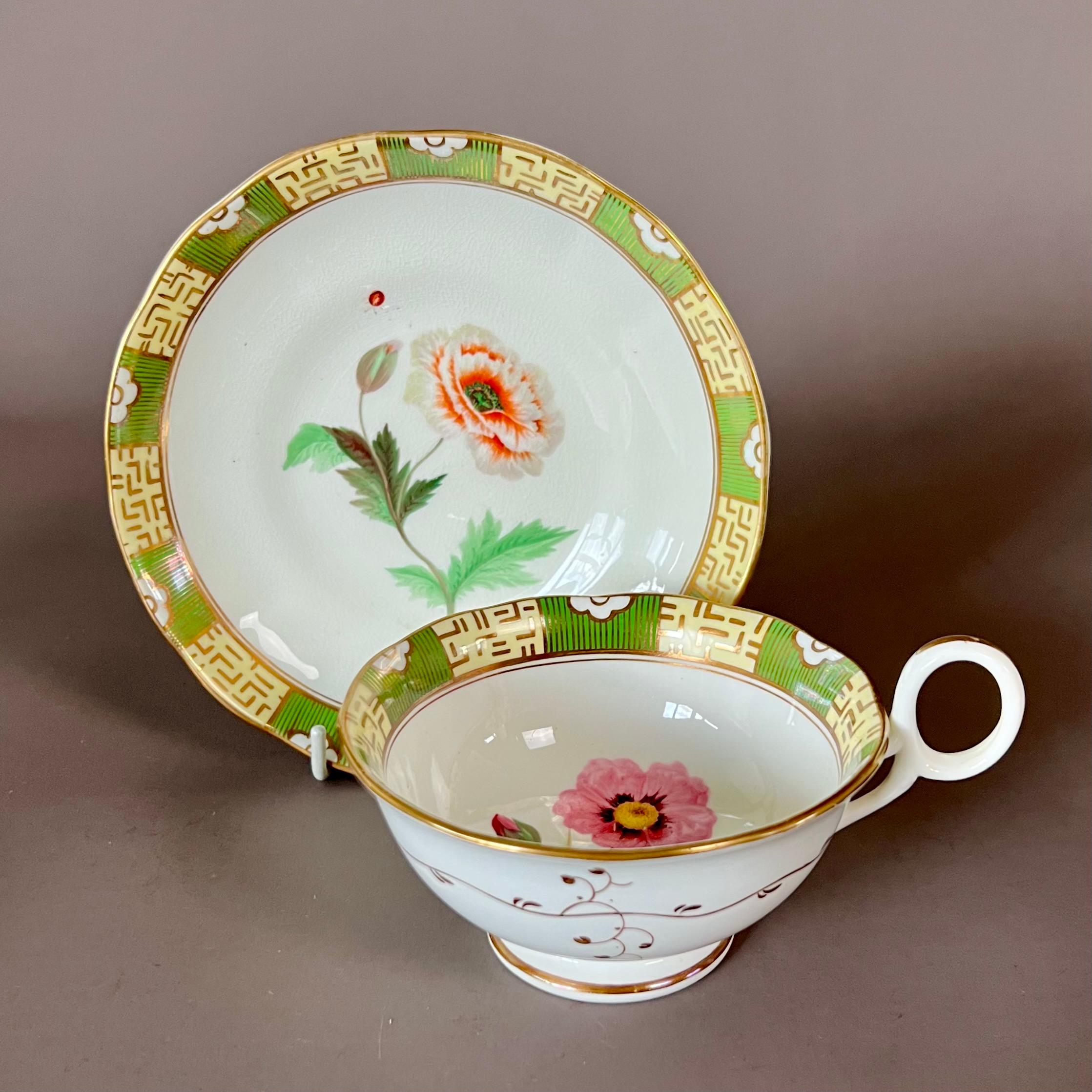 A teacup and saucer with ring handle, with green and pale yellow ground in Japanese style, and beautiful flower studies in the centre of each item and a little ladybird on the saucer

Pattern 8184
Year: ca 1843
Size: teacup 10.2cm (4“), saucer 15cm