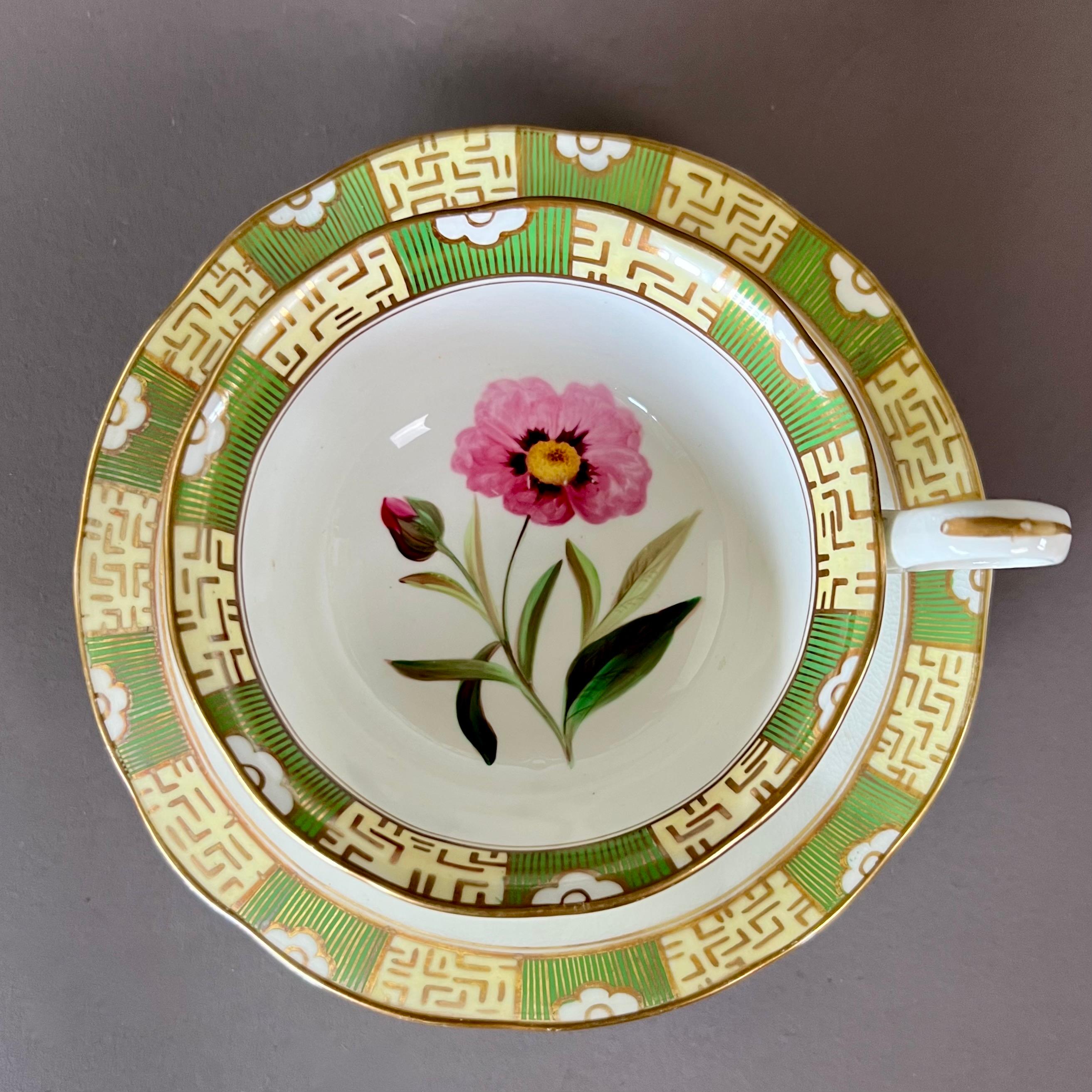 Anglais Tasse à thé japonaise Samuel Alcock, bordure verte, fleurs et coccinelle, vers 1843 en vente