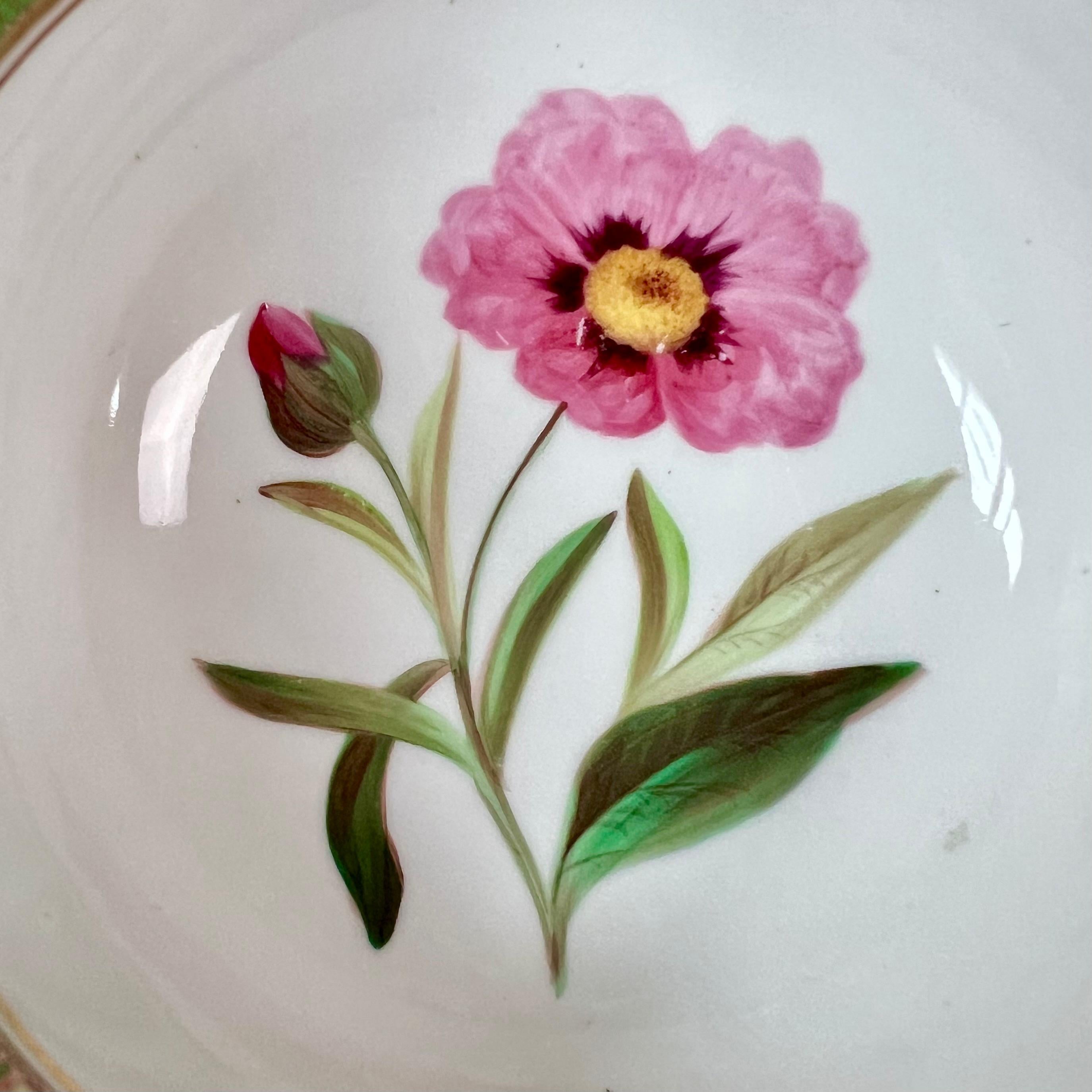 Milieu du XIXe siècle Tasse à thé japonaise Samuel Alcock, bordure verte, fleurs et coccinelle, vers 1843 en vente