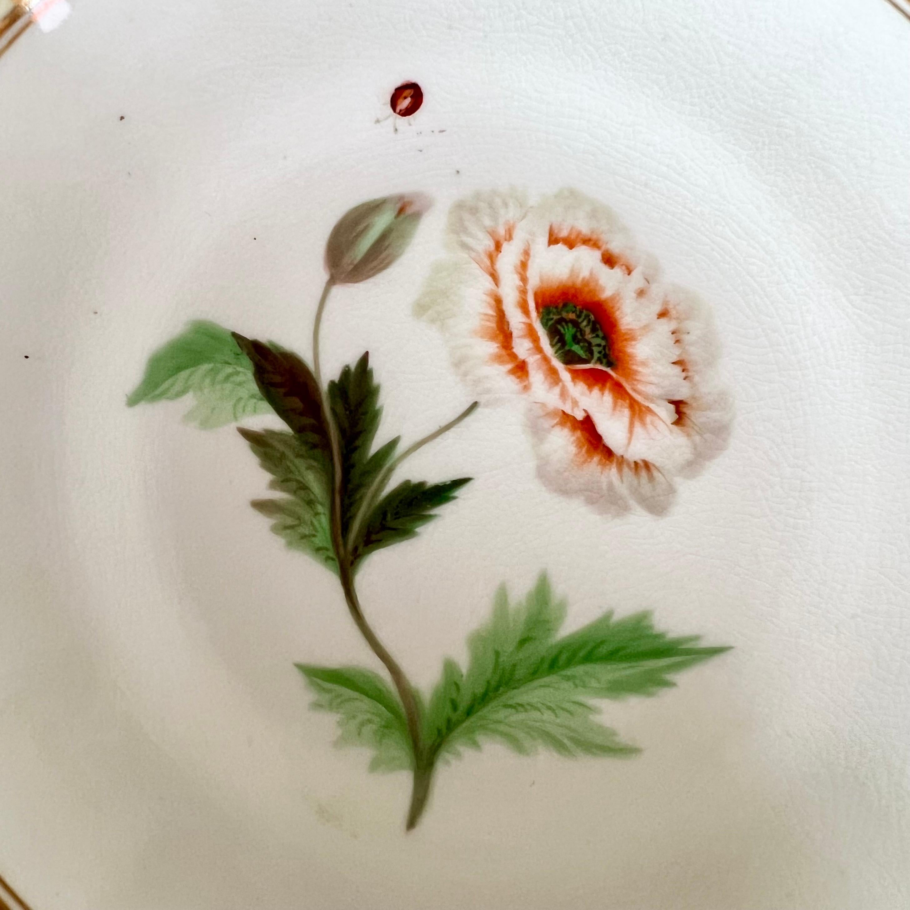Mid-19th Century Samuel Alcock Teacup, Japanese Green Border, Flowers and Ladybird, ca 1843 For Sale