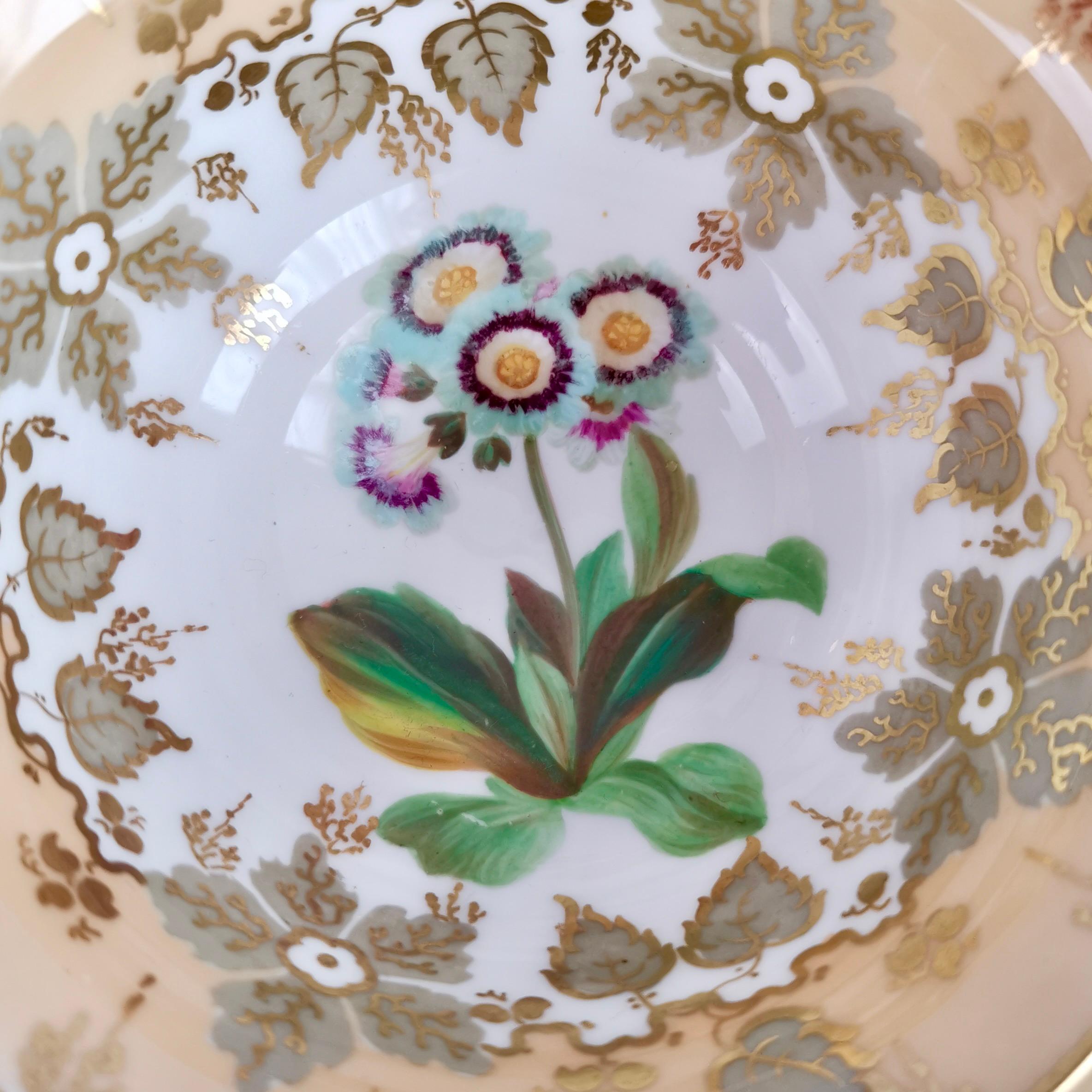 Samuel Alcock Teacup Trio, Beige with Hand Painted Flowers, Rococo Revival 1841 For Sale 3